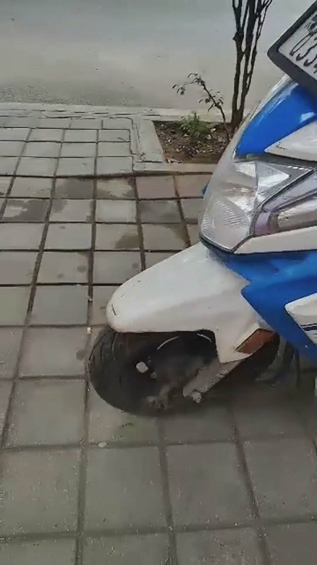 Walk-around video thumbnail