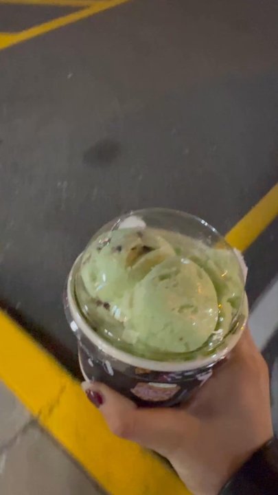 The Cookie Monstah - Two scoops Mint Chip Froyo and a Oatmeal Raisin cookie - Desserts Near Me - Beverly, Massachusetts