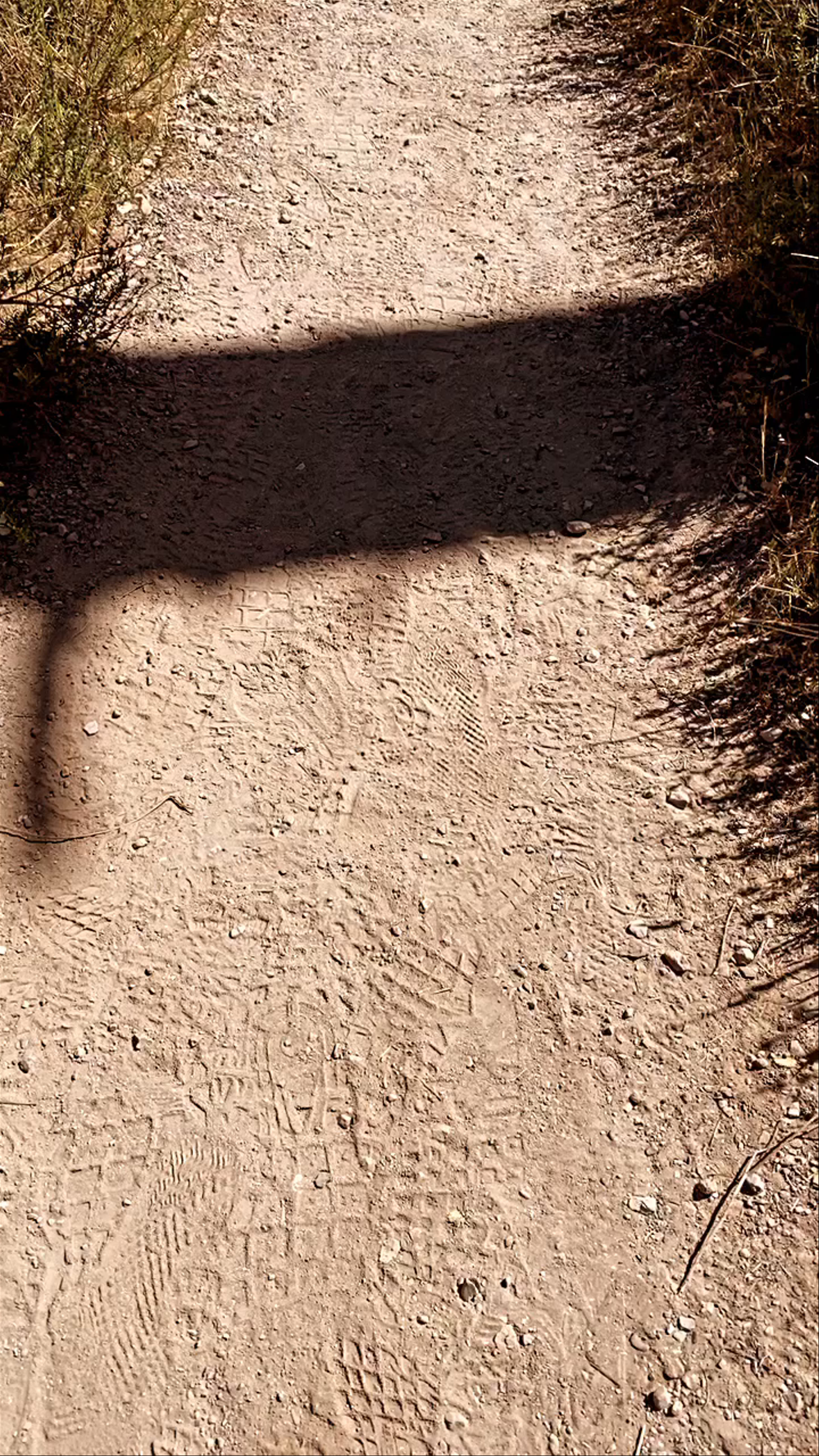 Pinnacles National Park