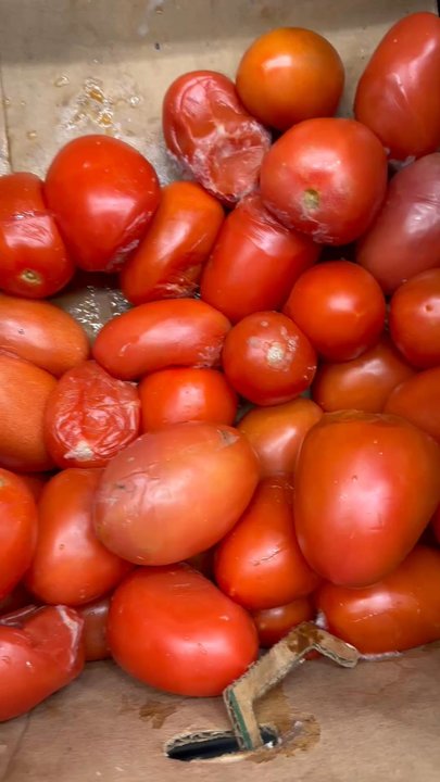 ALDI - 3 times within the past week, the tomatoes look horrible - Grocery Near Me - Laurel, Maryland