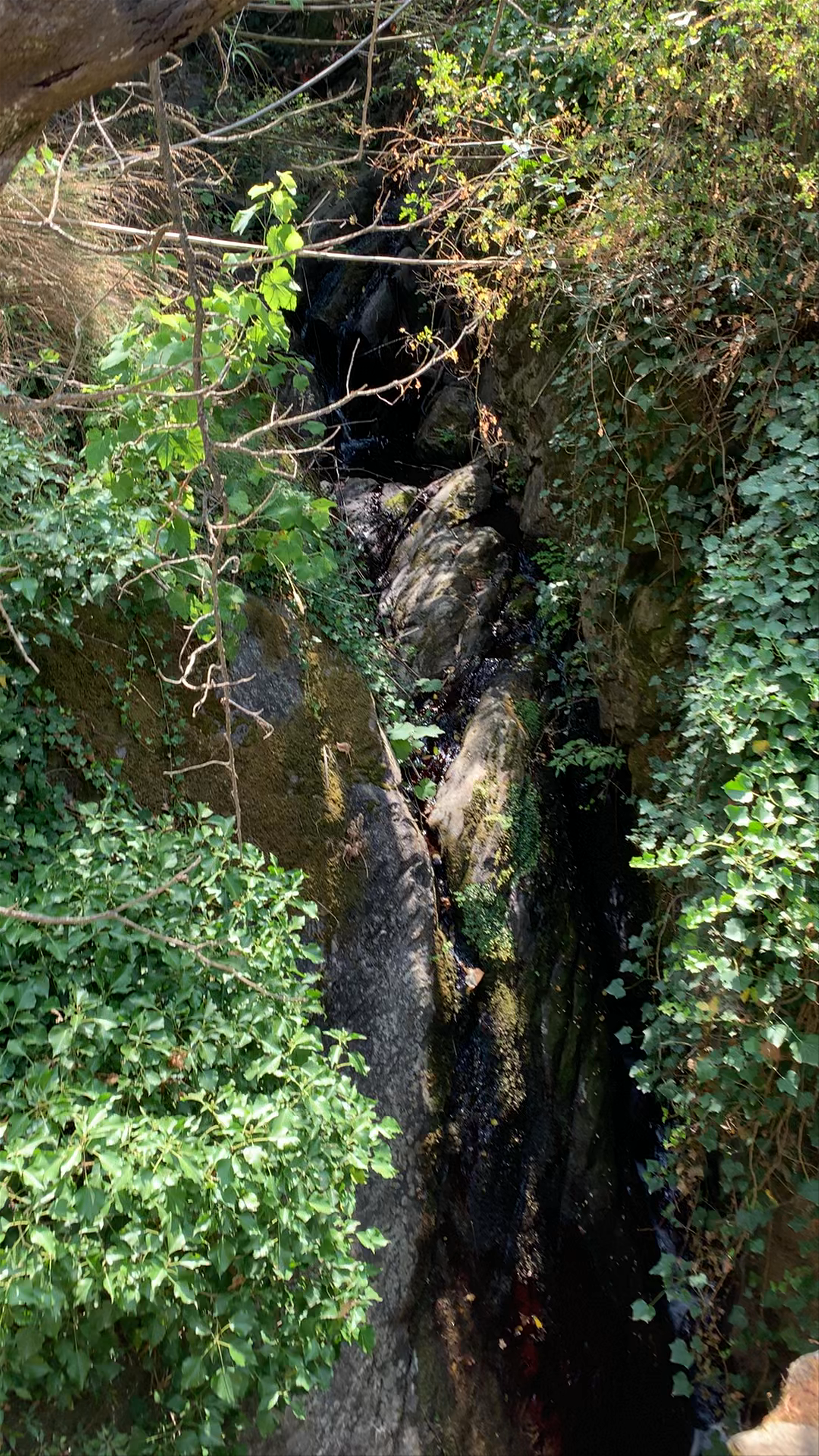 Peaceful Creek along our hike in chinque Terre