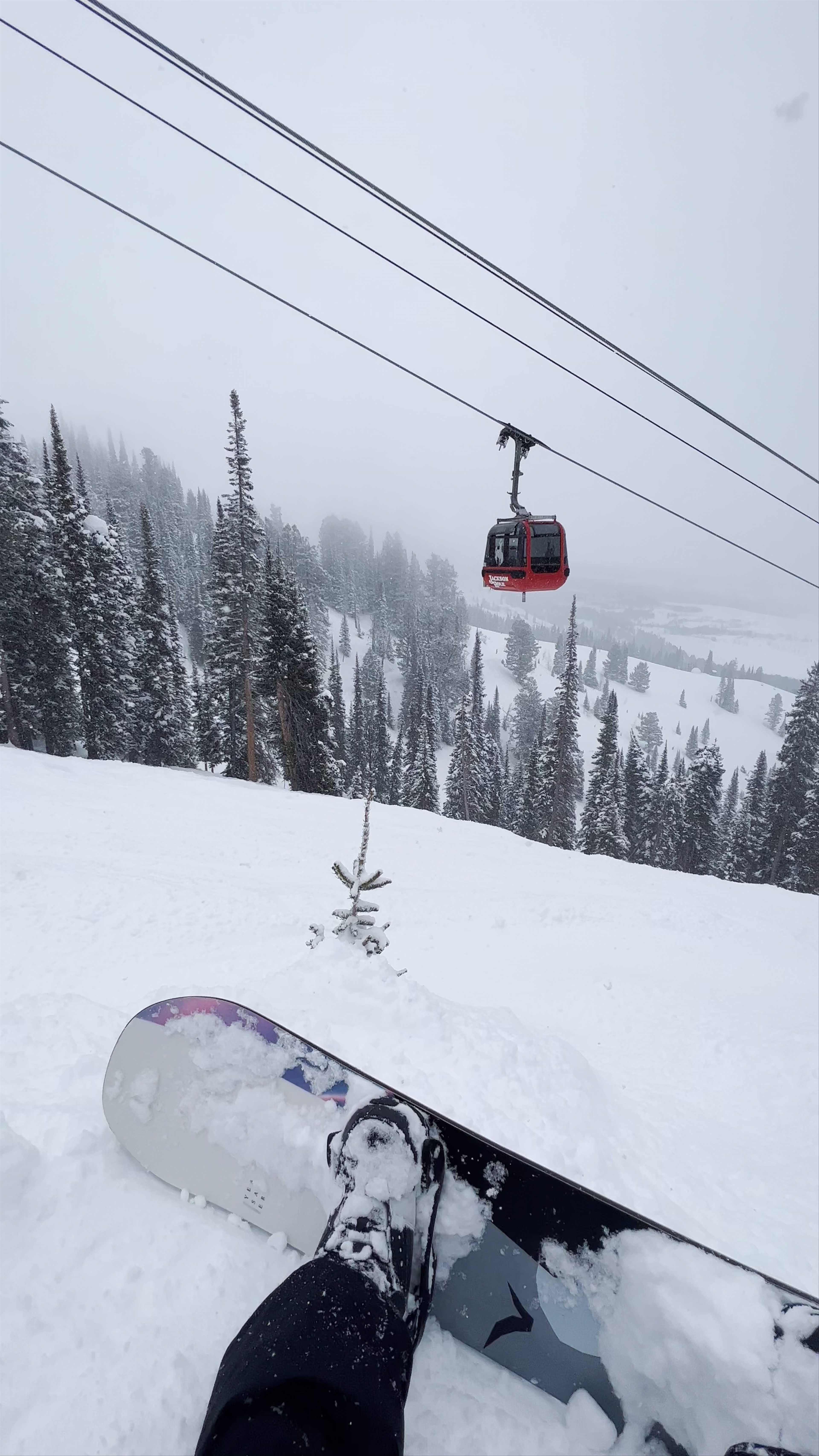 Powder Day Snowboarding at Jackson Hole Mountain Resort