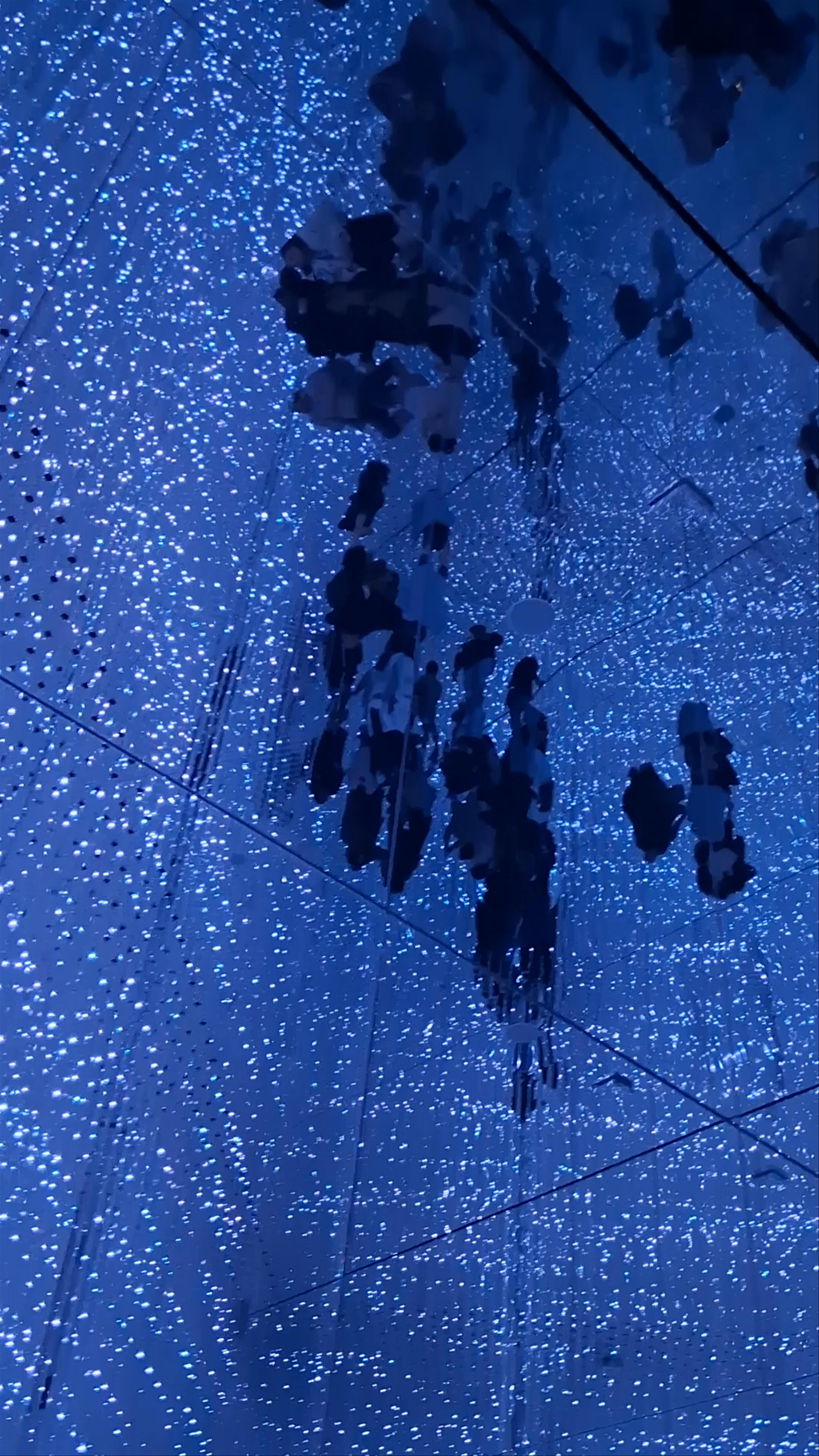 teamLab Planets TOKYO DMM
