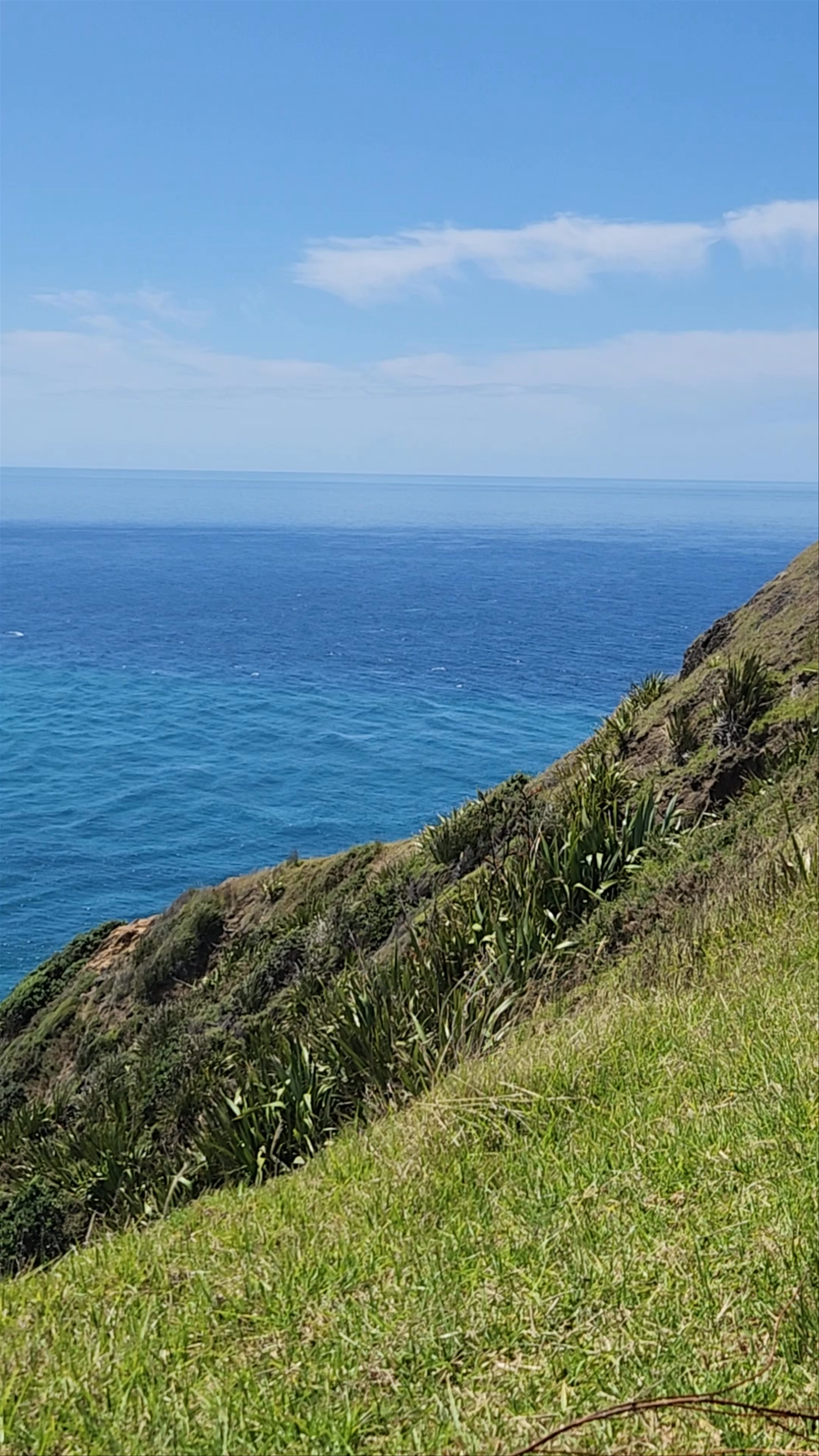 Cape Reinga