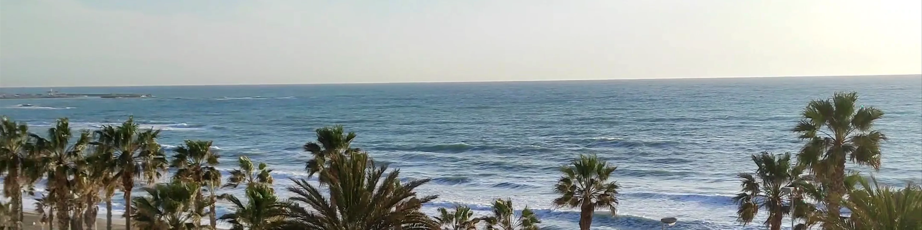 Aloha Playa