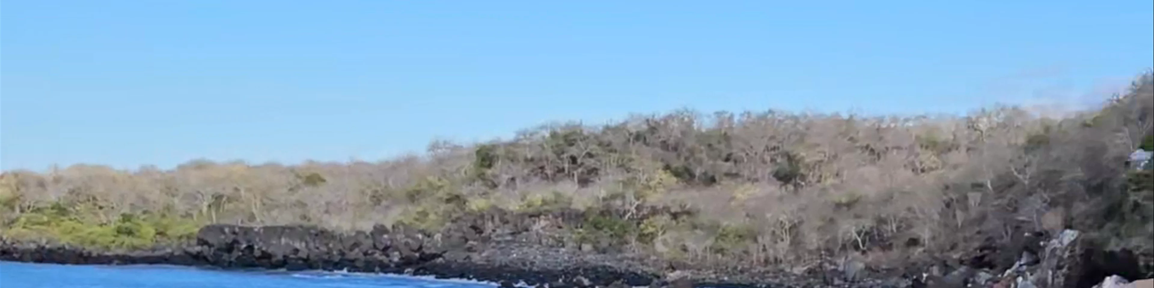 Mirador Cerro Tijeretas