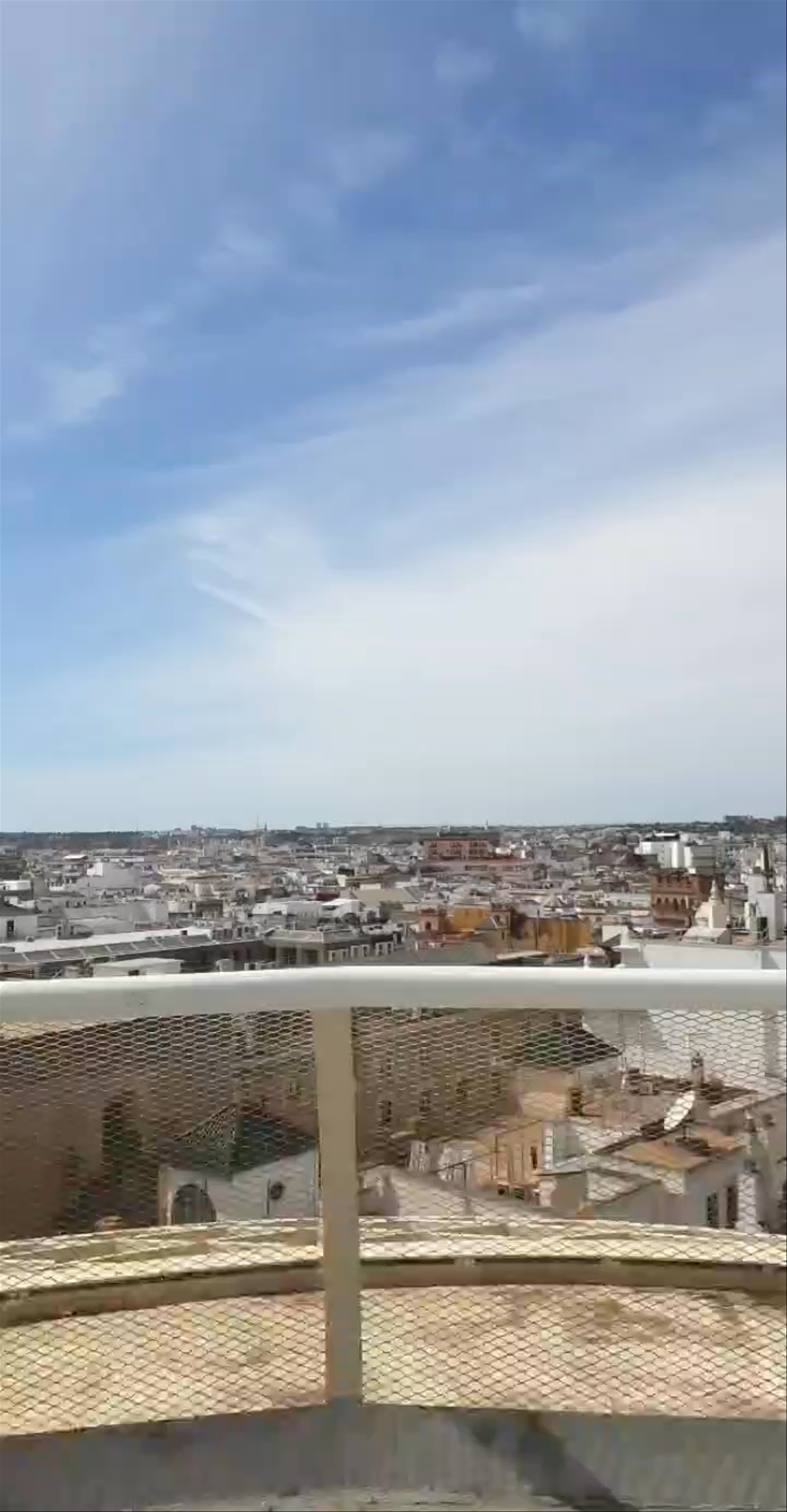 Setas de Sevilla