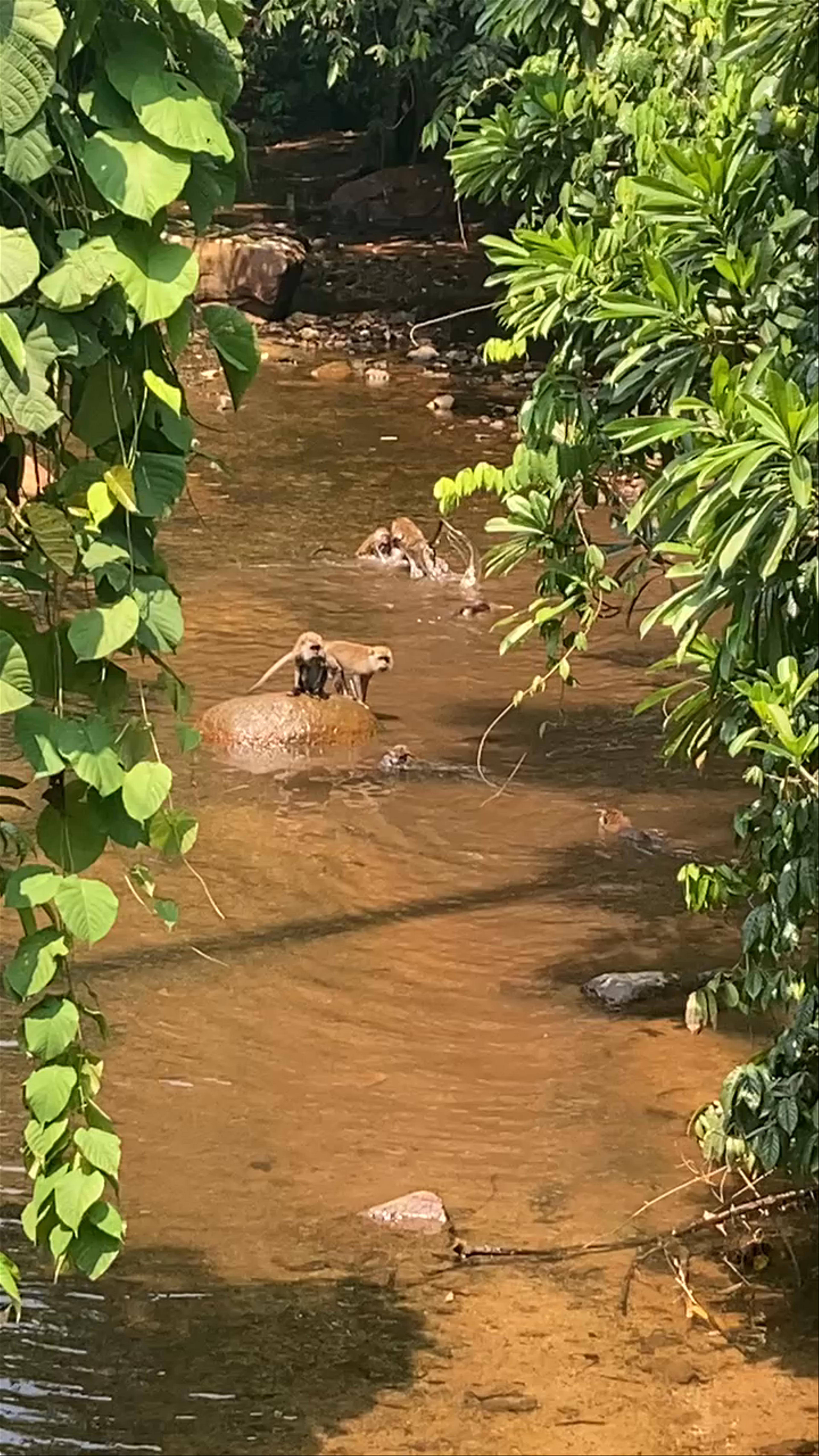Lubuk Teja Waterfall