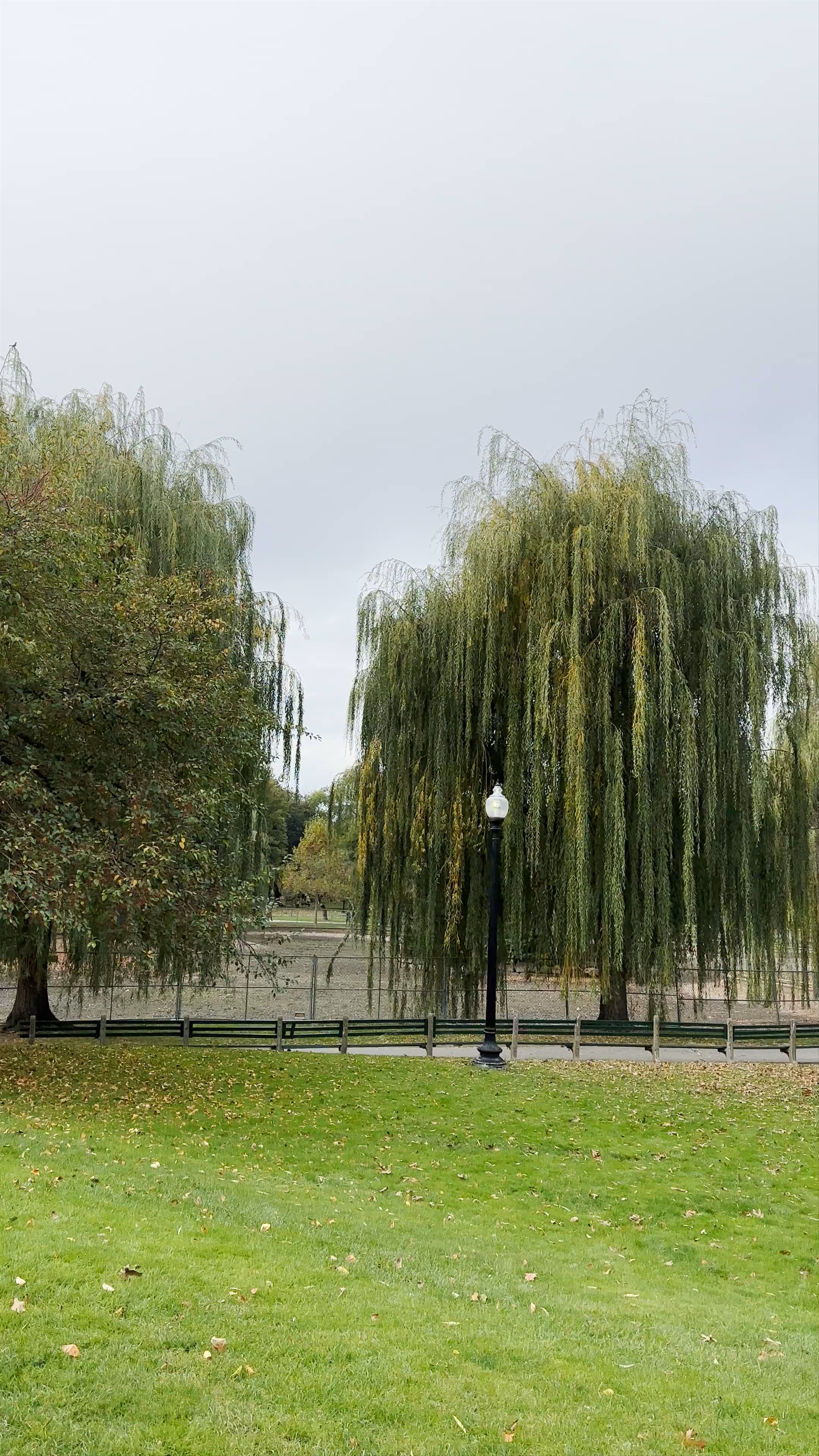 Boston Common