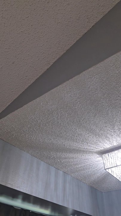 Critter Control - The sound is the squirrel gnawing in my attic - Pest Control Near Me