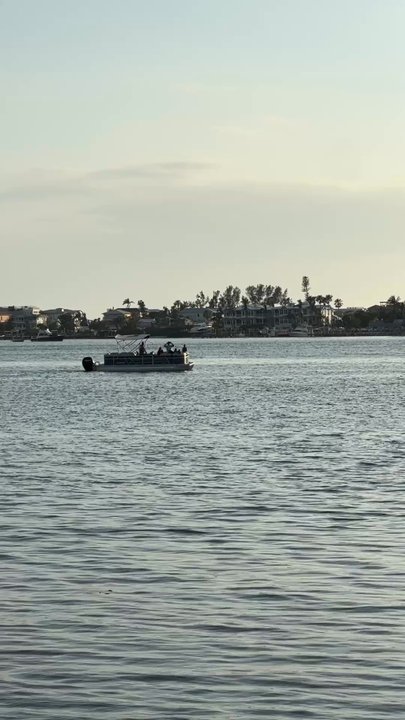 Tide Tables - Dolphin! - Seafood Near Me - Cortez, Florida