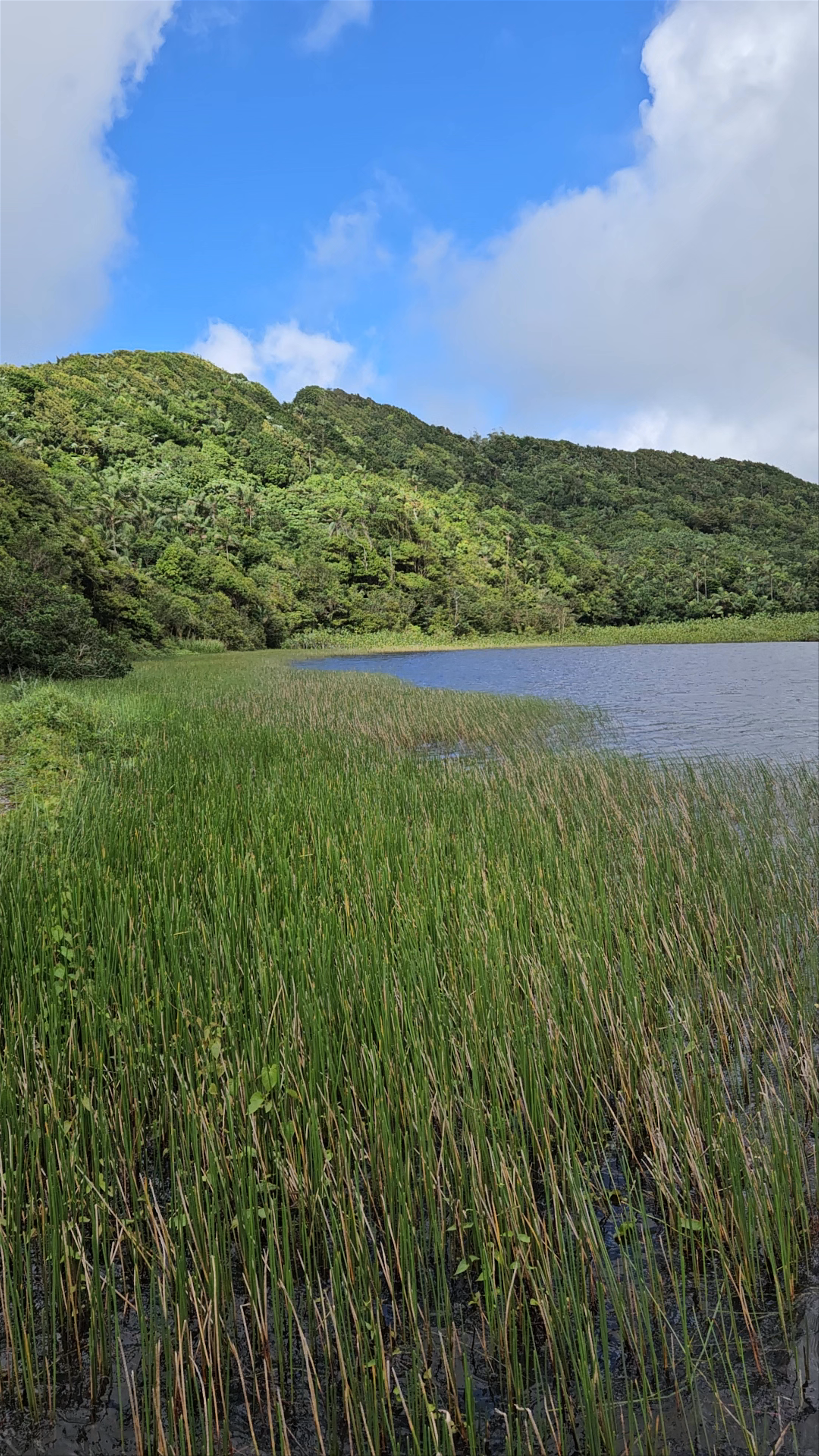 Grand Étang National Park/Lake
