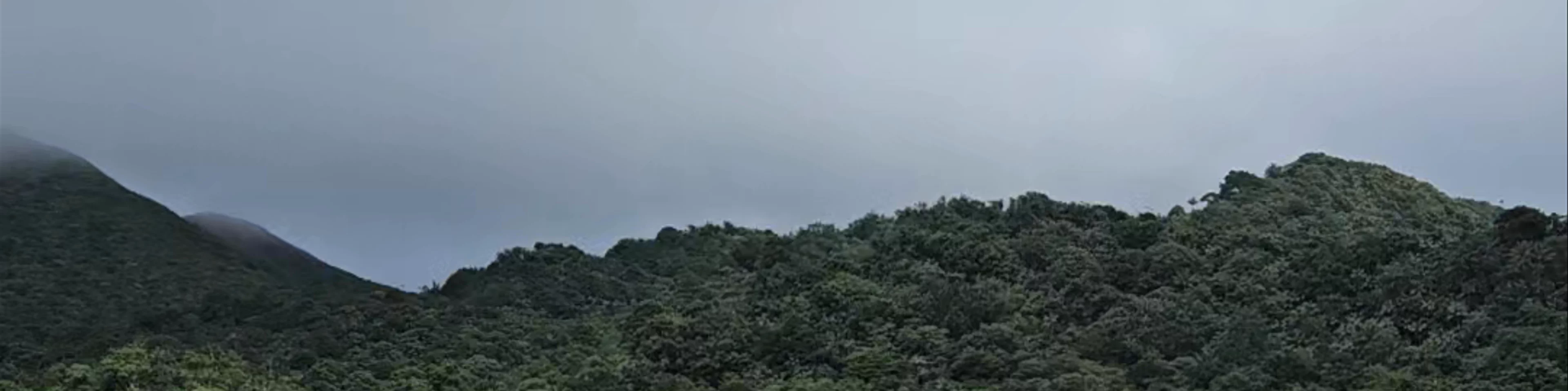 Grand Étang National Park/Lake