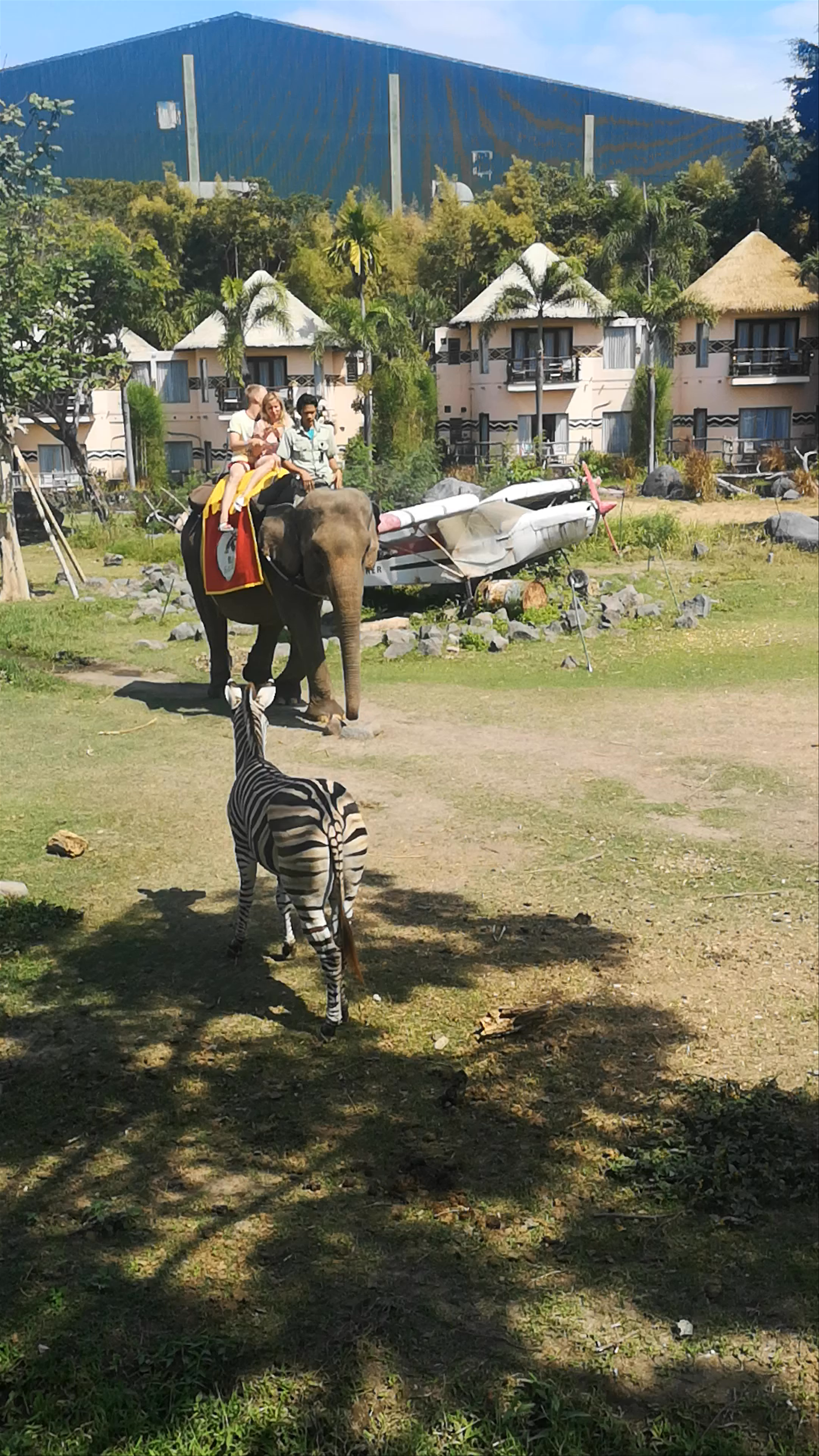 Bali Safari and Marine Park: Exotic Wildlife & Family Adventure