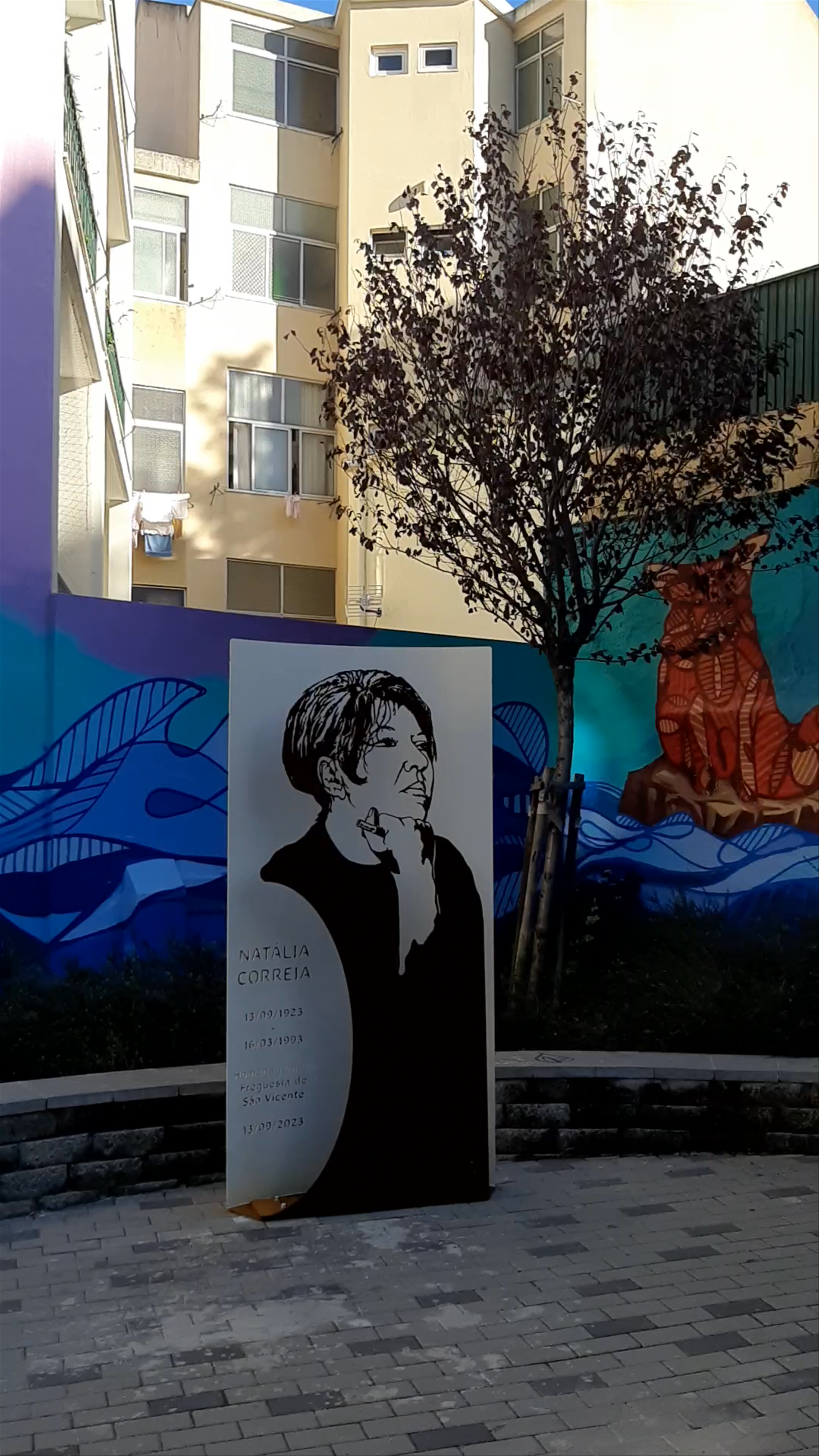 Fado em Tons de RGB - Ozearv