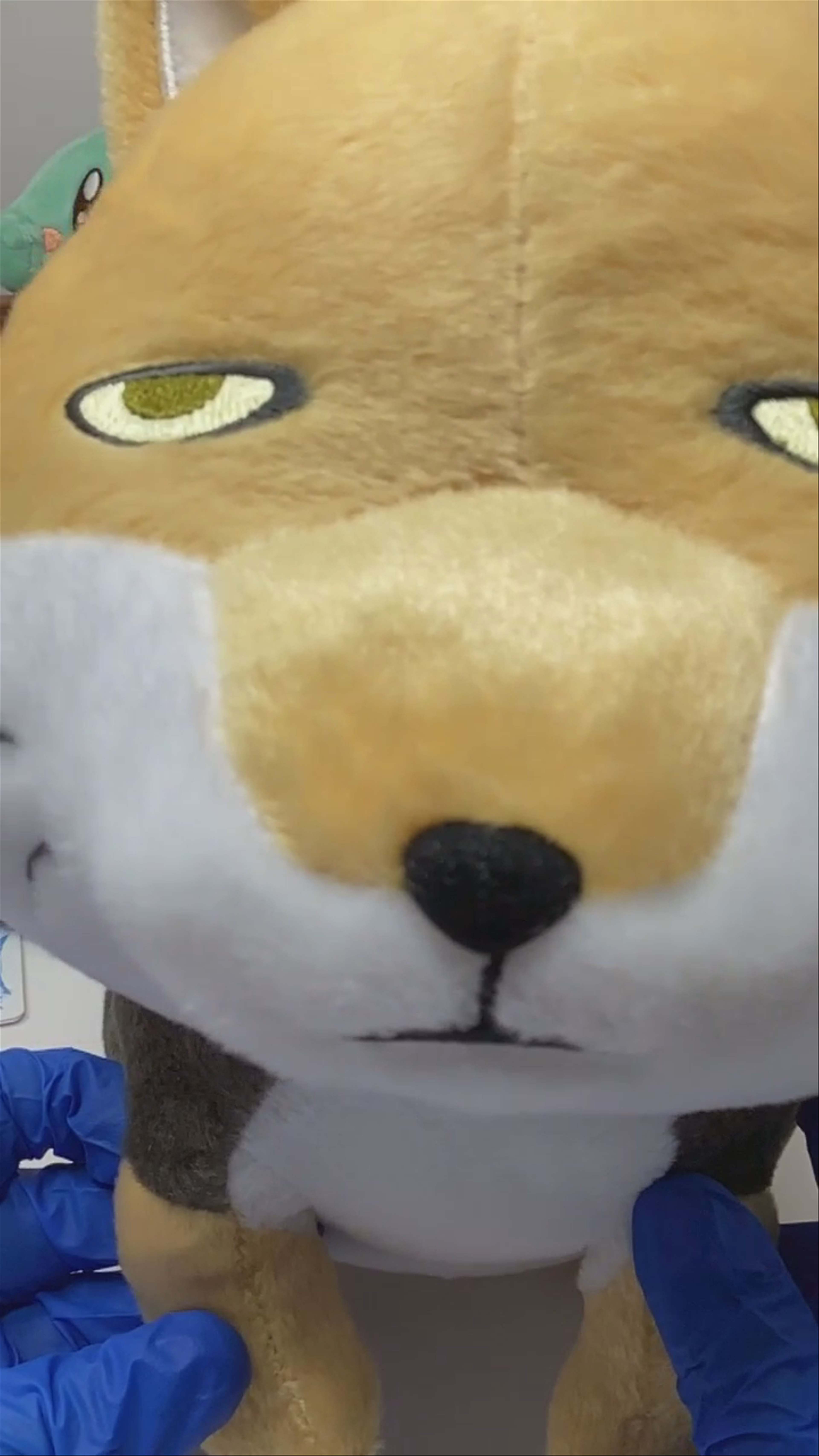 The Side-Eye Fox don't let it catch you slacking here at GameFox 0.0