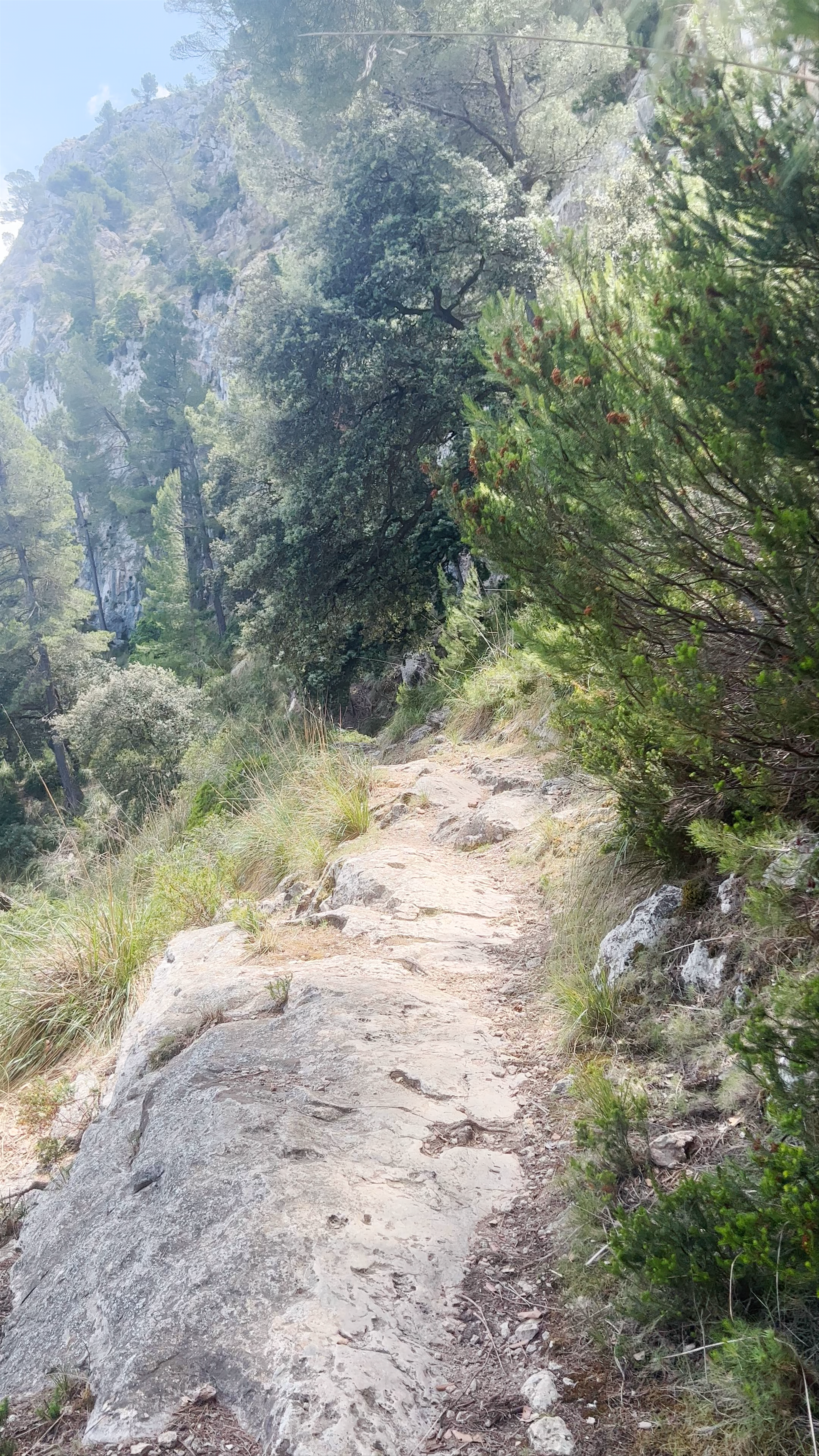 Scenic Hiking Adventures at Puig de Galatzó, Spain