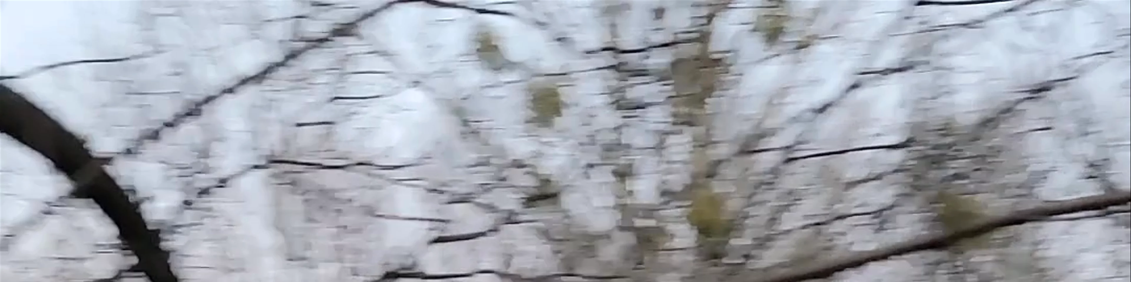 Park Fosa i Stoki Cytadeli w Warszawie