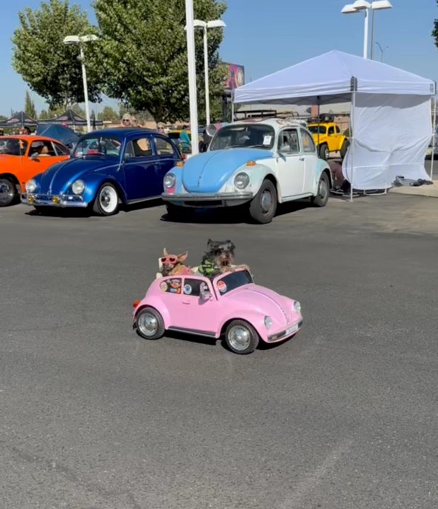 Clovis Volkswagen - Auto Parts & Supplies Near Me - Clovis, California