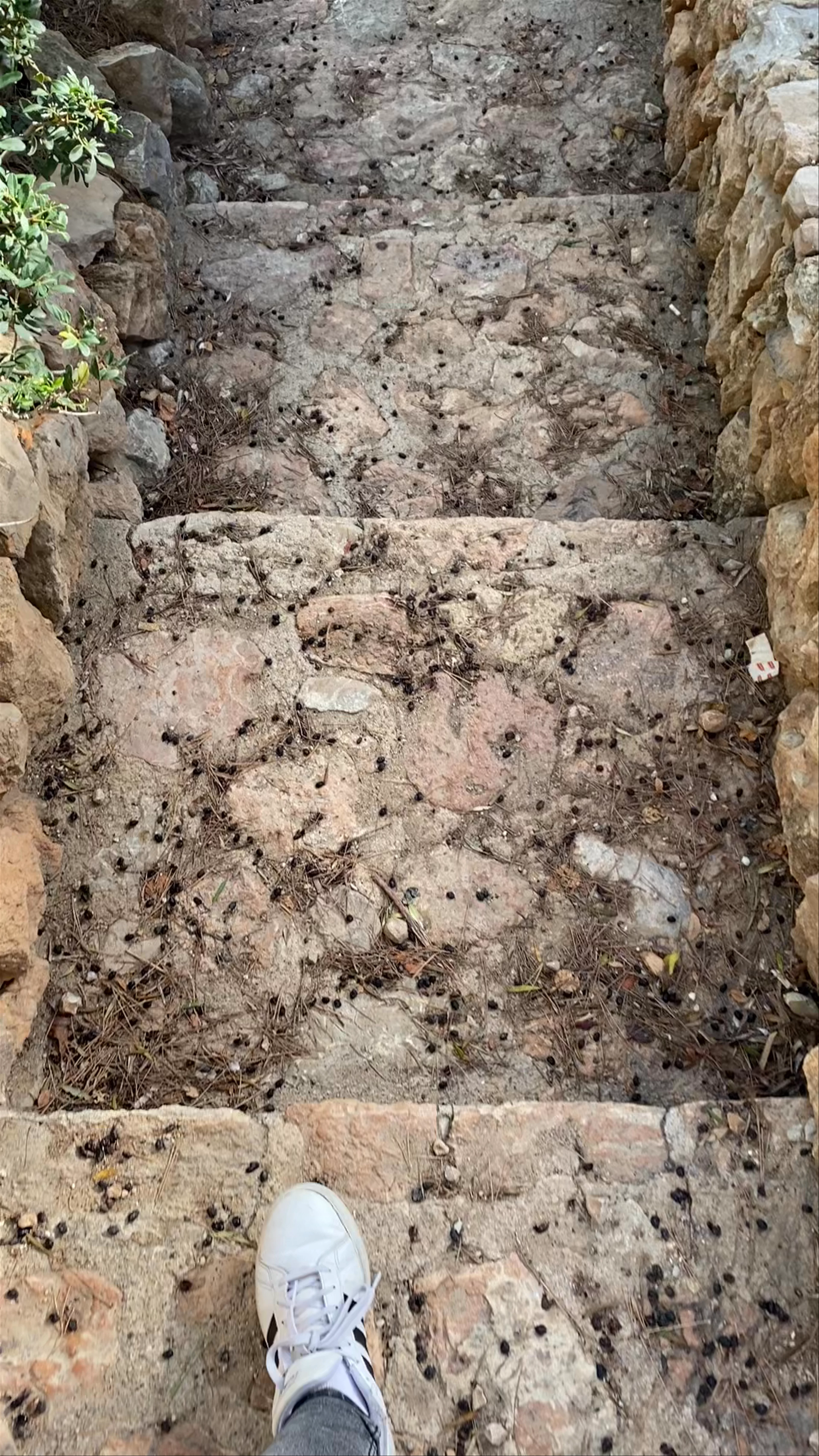 Caló de Ses Llisses, Spain