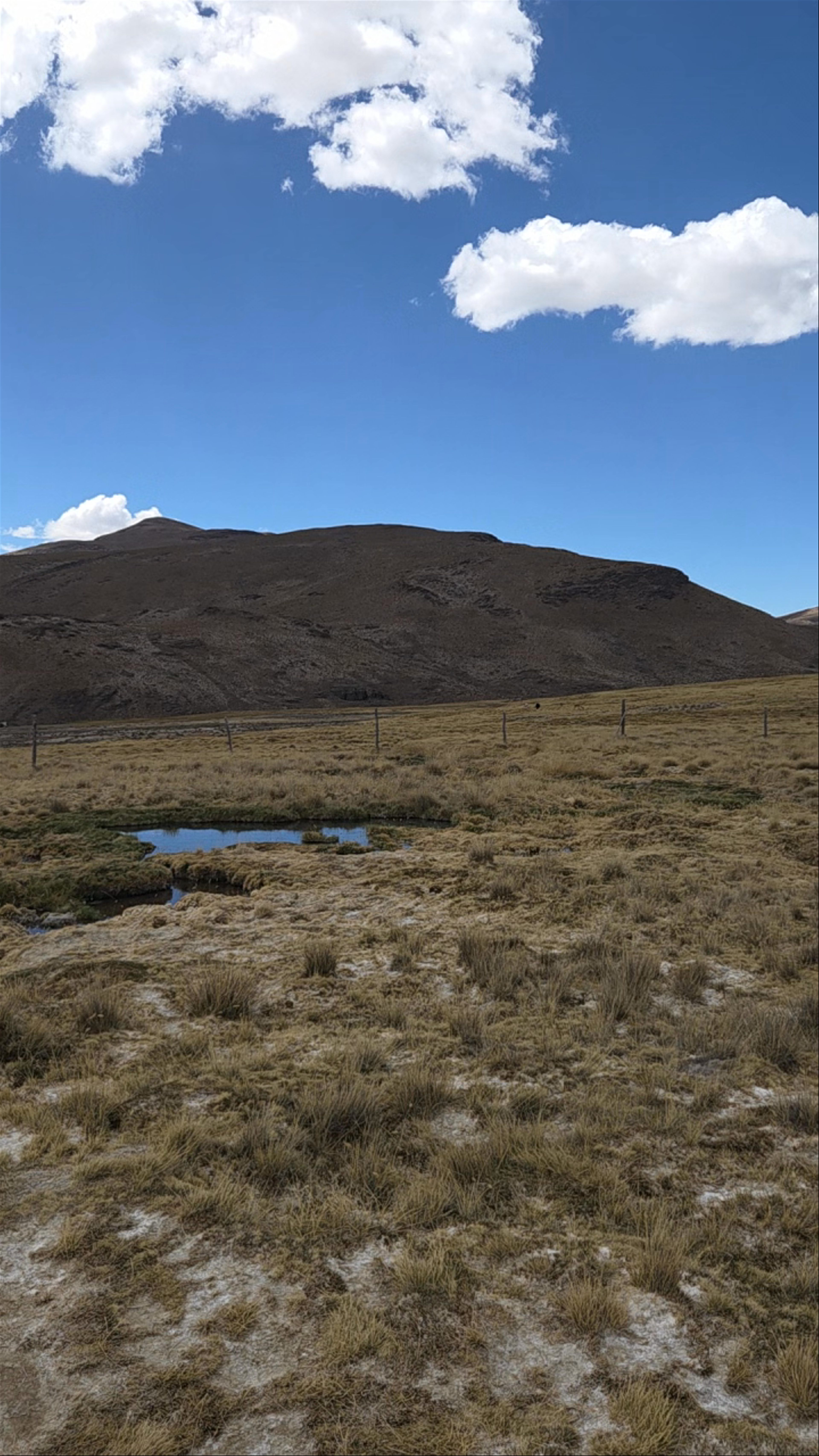 Aguas Termales de Lojen