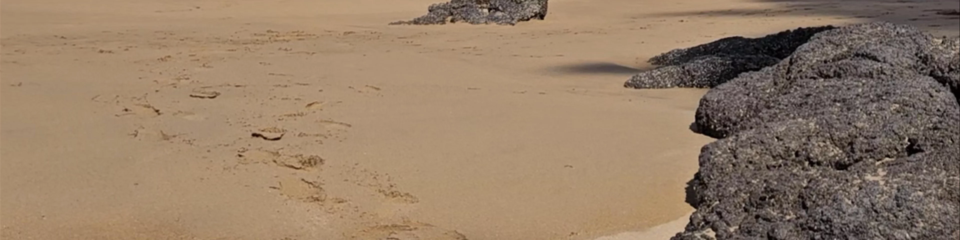 Playa de la Isla
