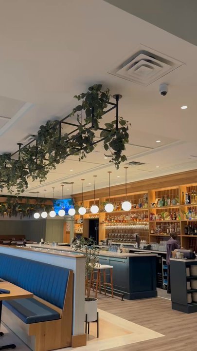 Tupelo Honey - Southern Near Me - Columbia, South Carolina