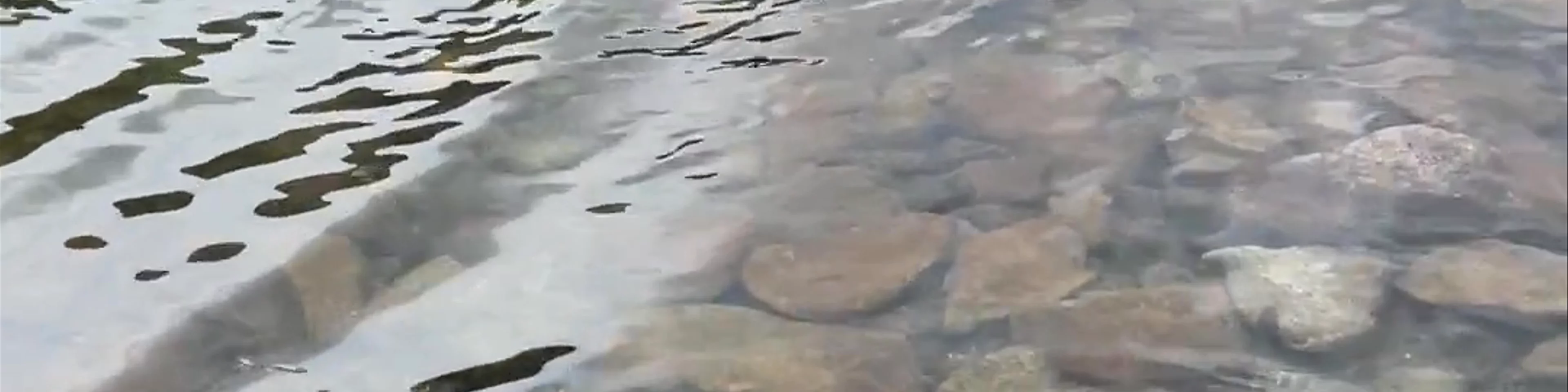 Tatra National Park