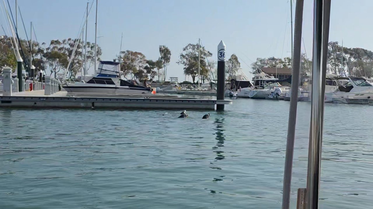 Harbor Boat Rentals - Boating Near Me - Dana Point, California