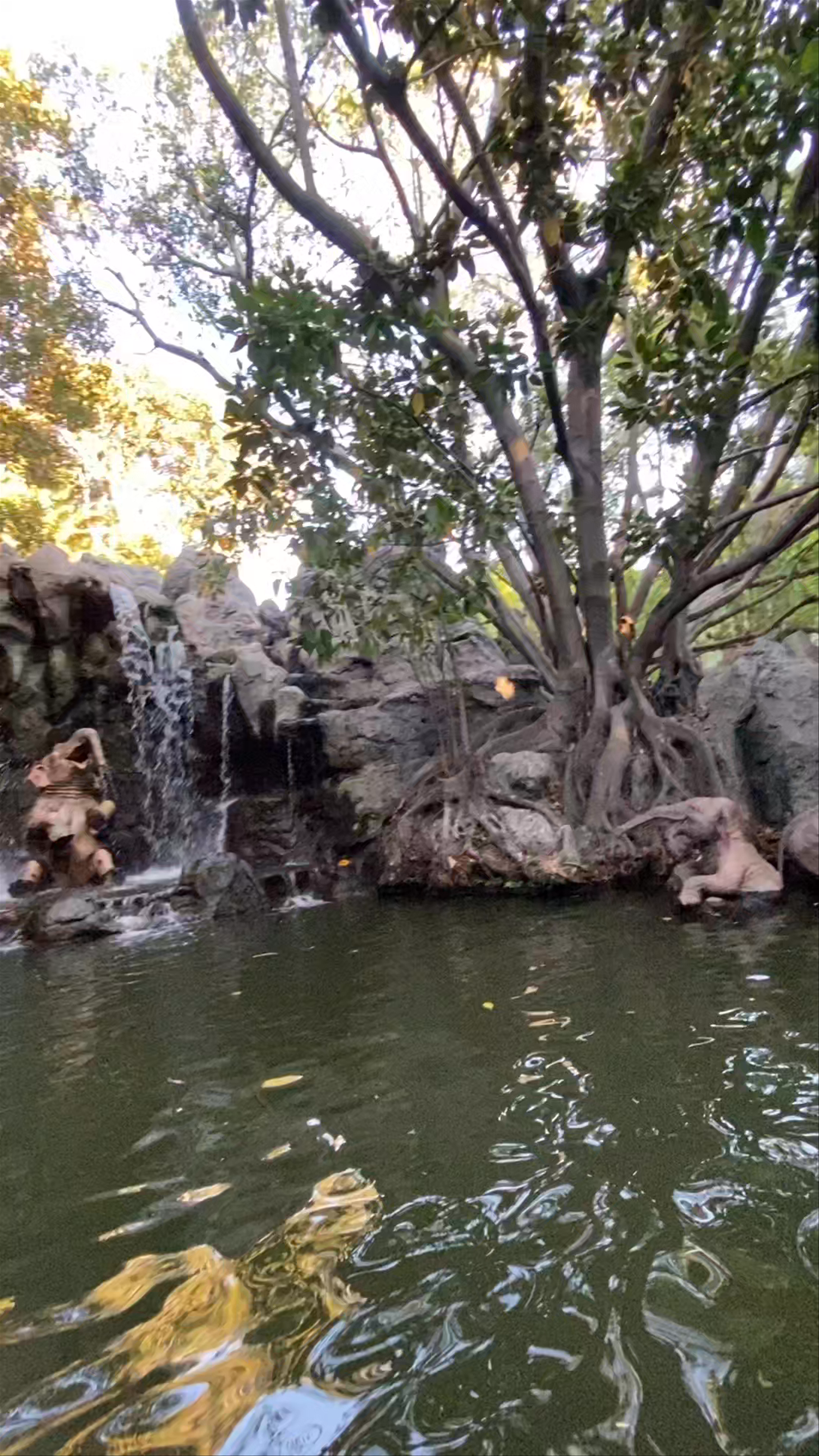 Jungle Cruise