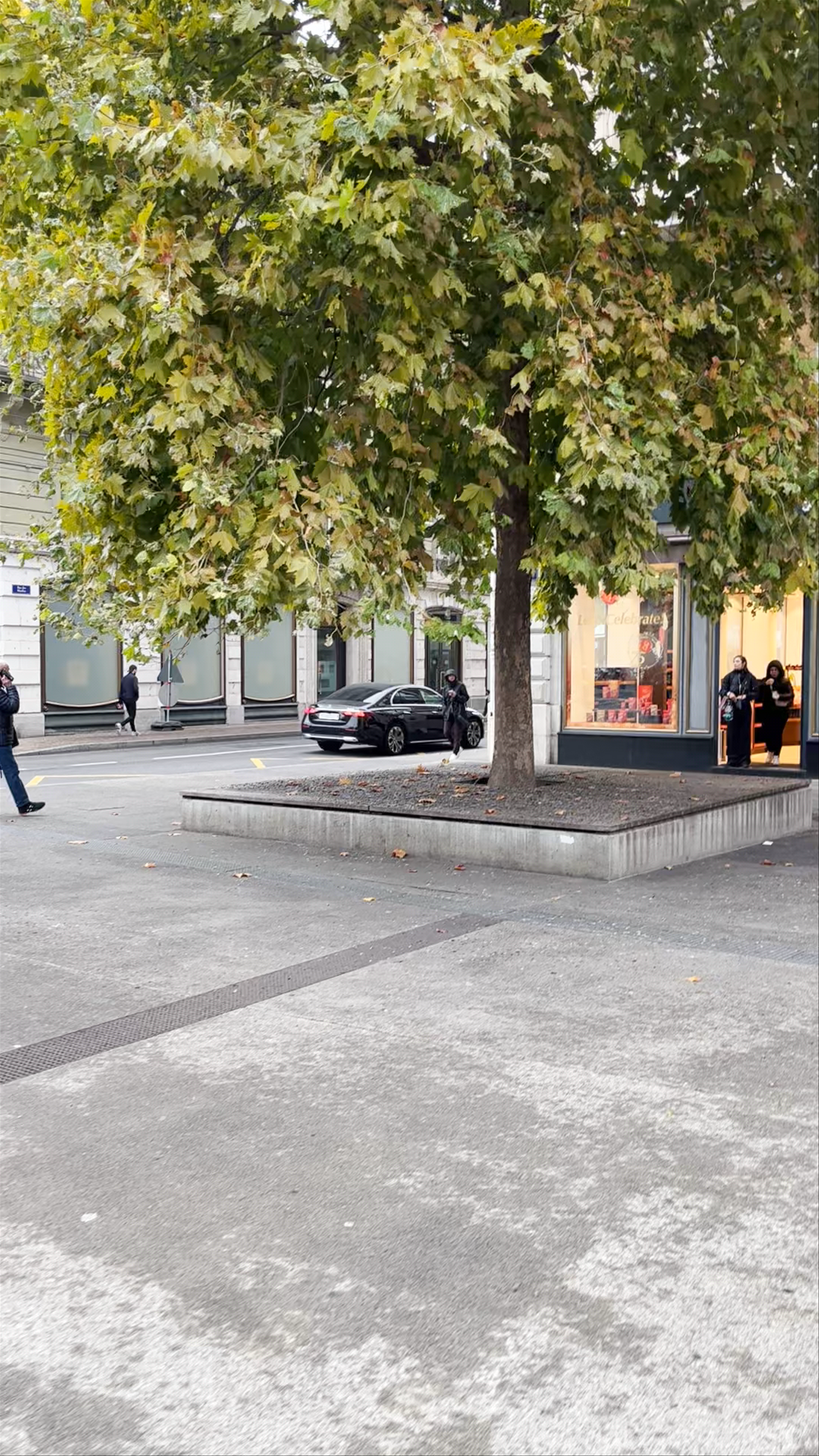 Tour de l'Île: Historic Charm in Geneva's Heart