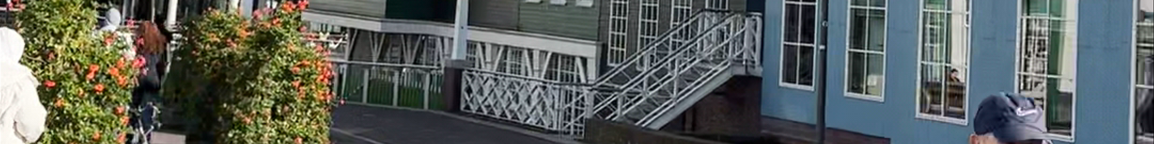 Tours & experiences in Zaandam