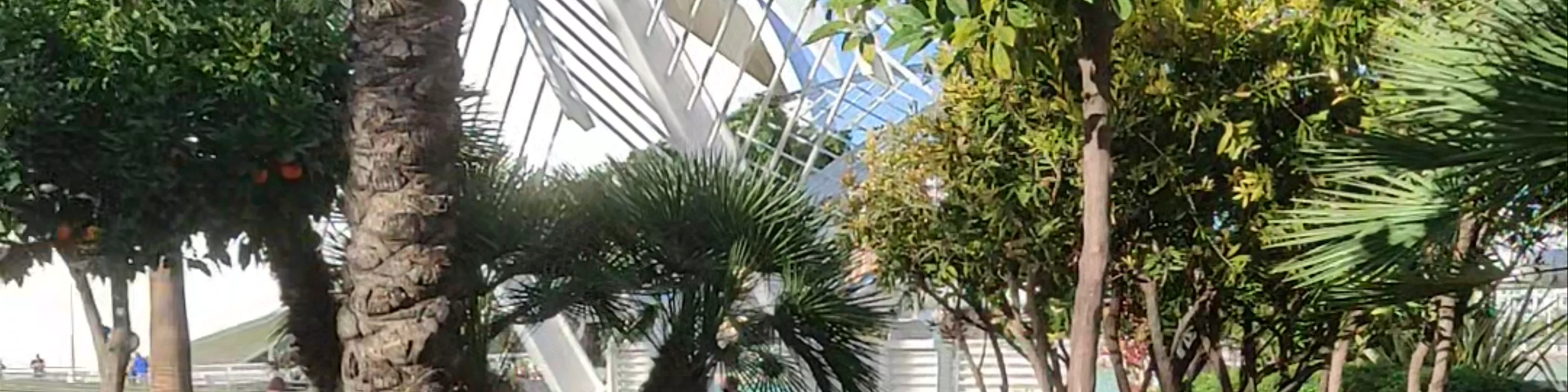 Umbracle