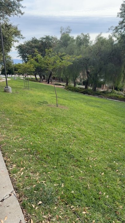 Skyview Park - Parks Near Me - Chino Hills, California