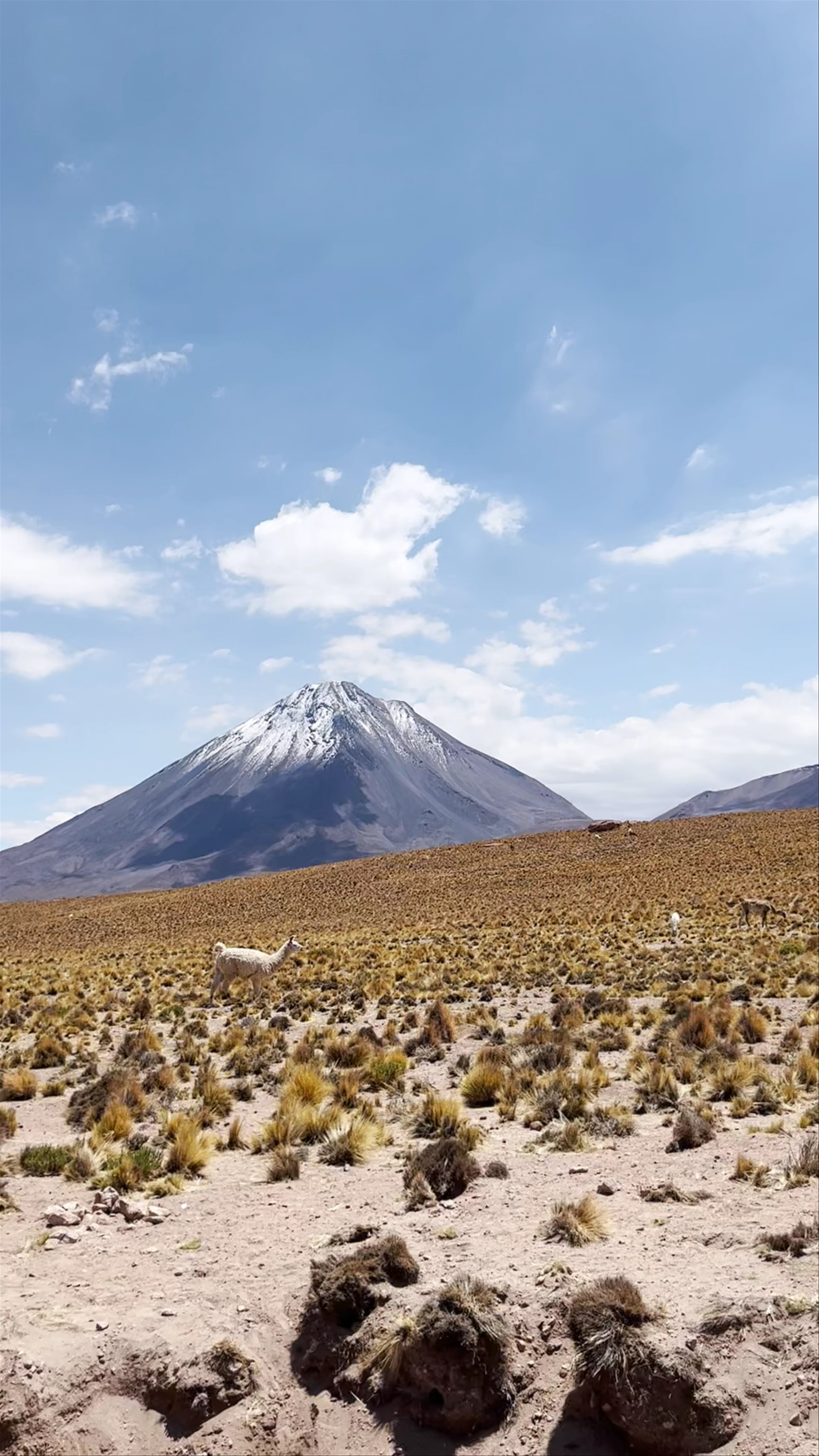 Mirador de Aguascalientes - Ruta 23