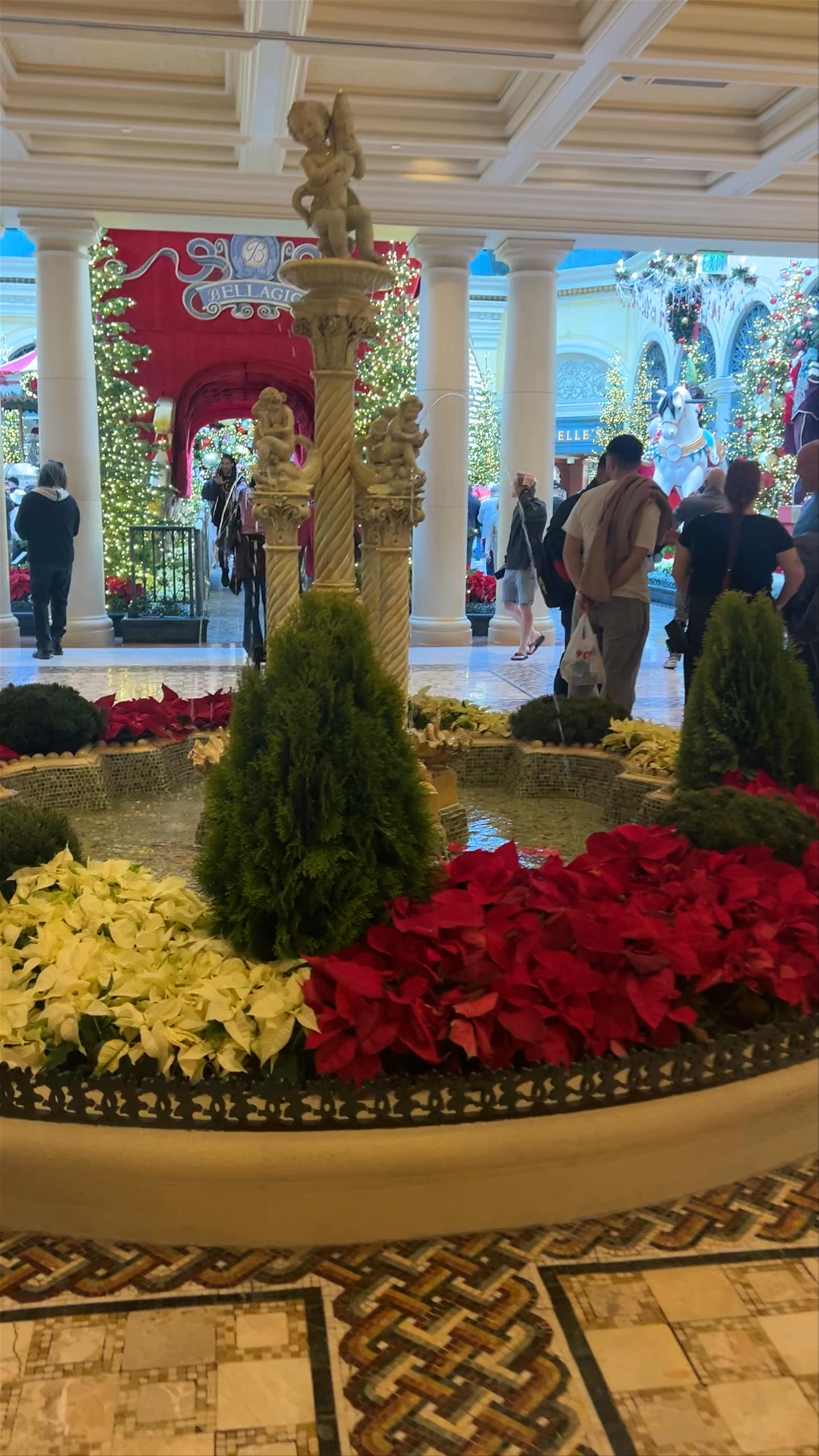 Bellagio Conservatory & Botanical Gardens