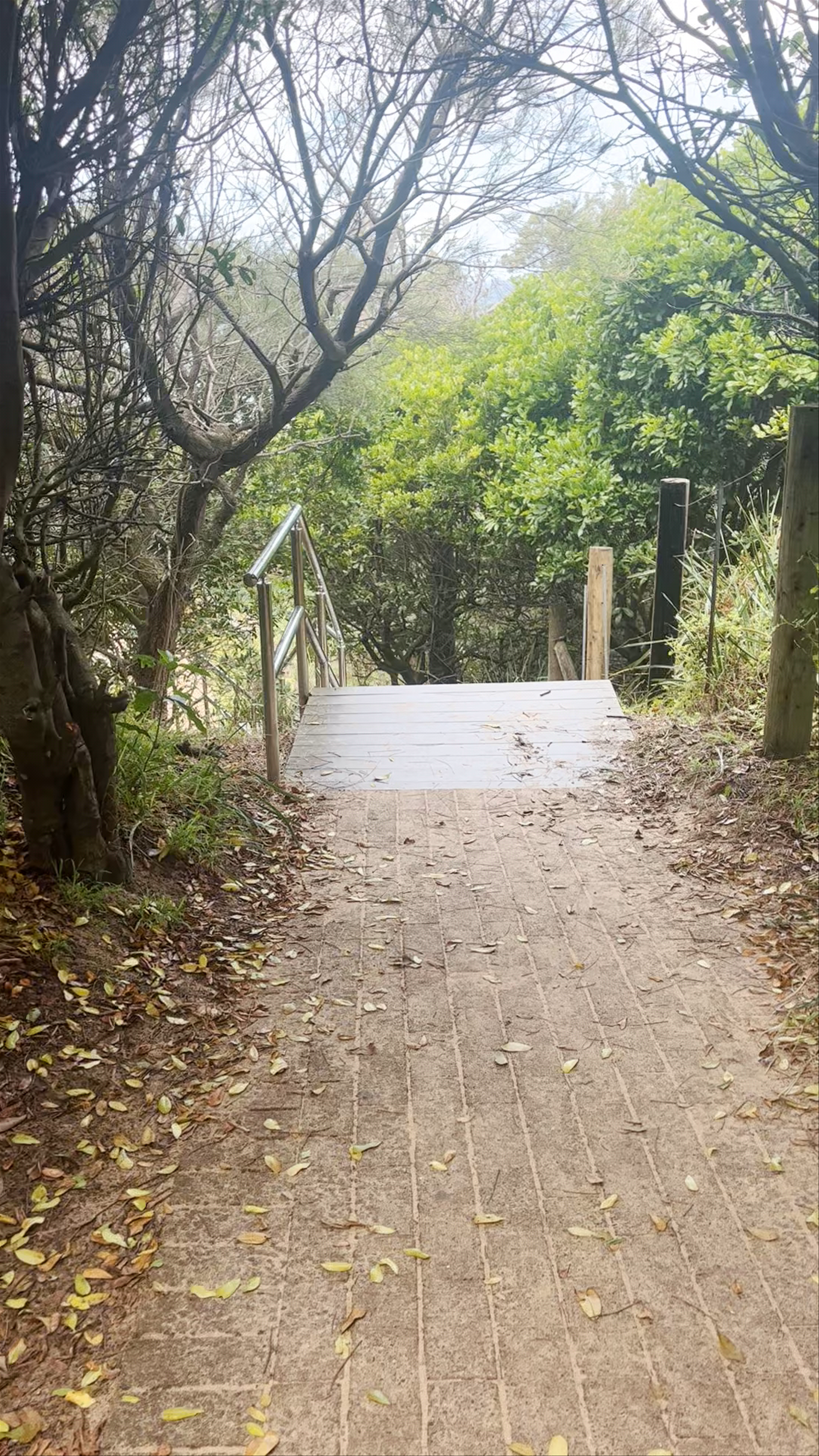 Spoon Bay Road Reserve