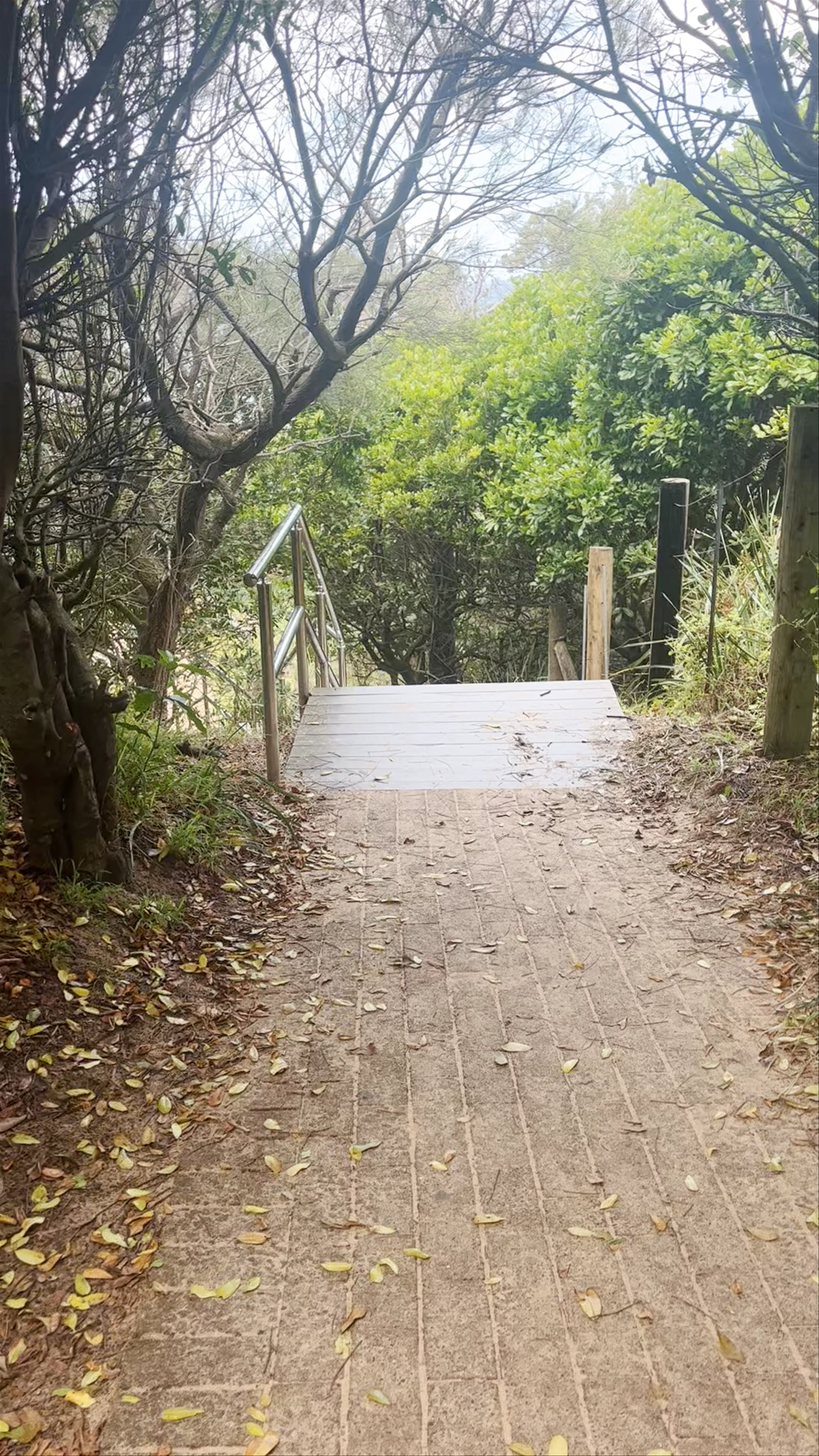 Spoon Bay Road Reserve