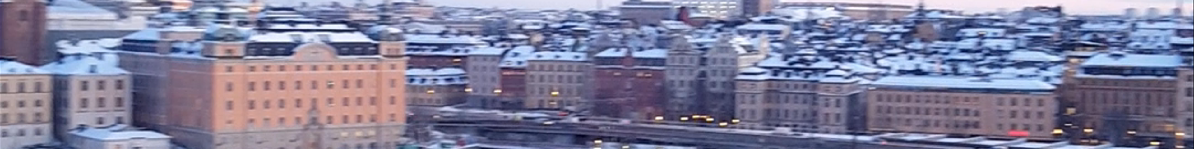 Tours & experiences in Stockholm