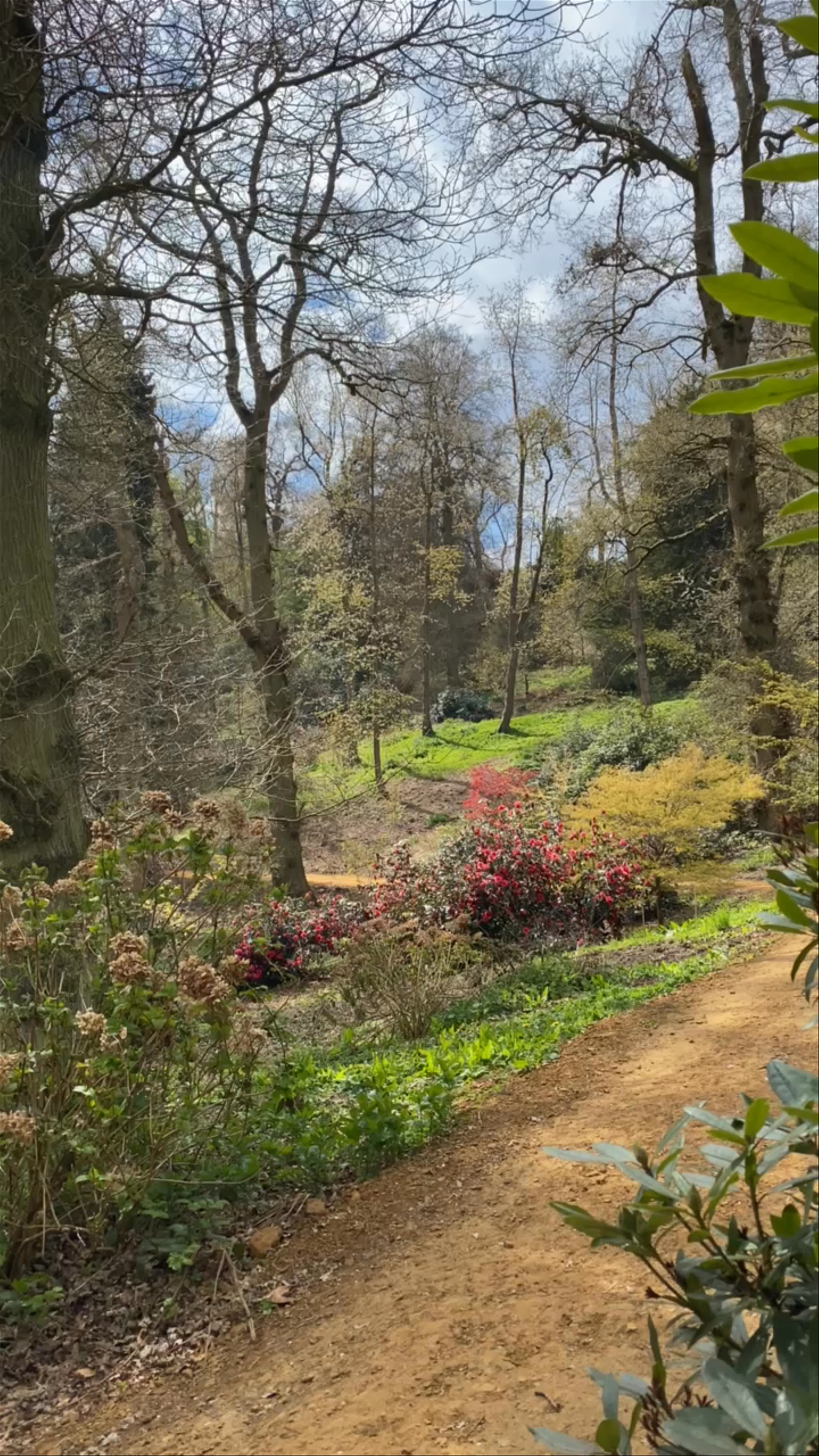 Springtime Stroll Through Belvoir Castle Gardens