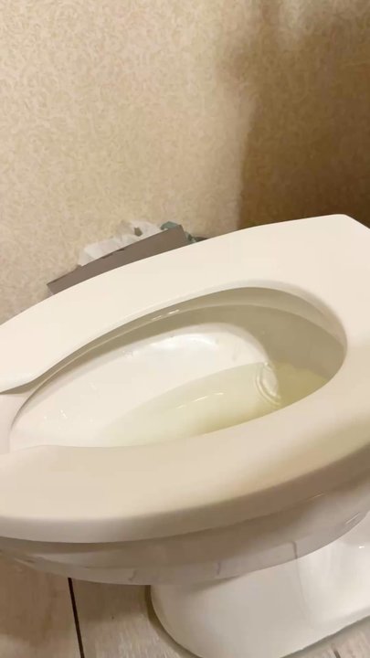 Comfort Suites - This poor toilet flushed twice and used a ton of water - Hotels Near Me - Corvallis, Oregon