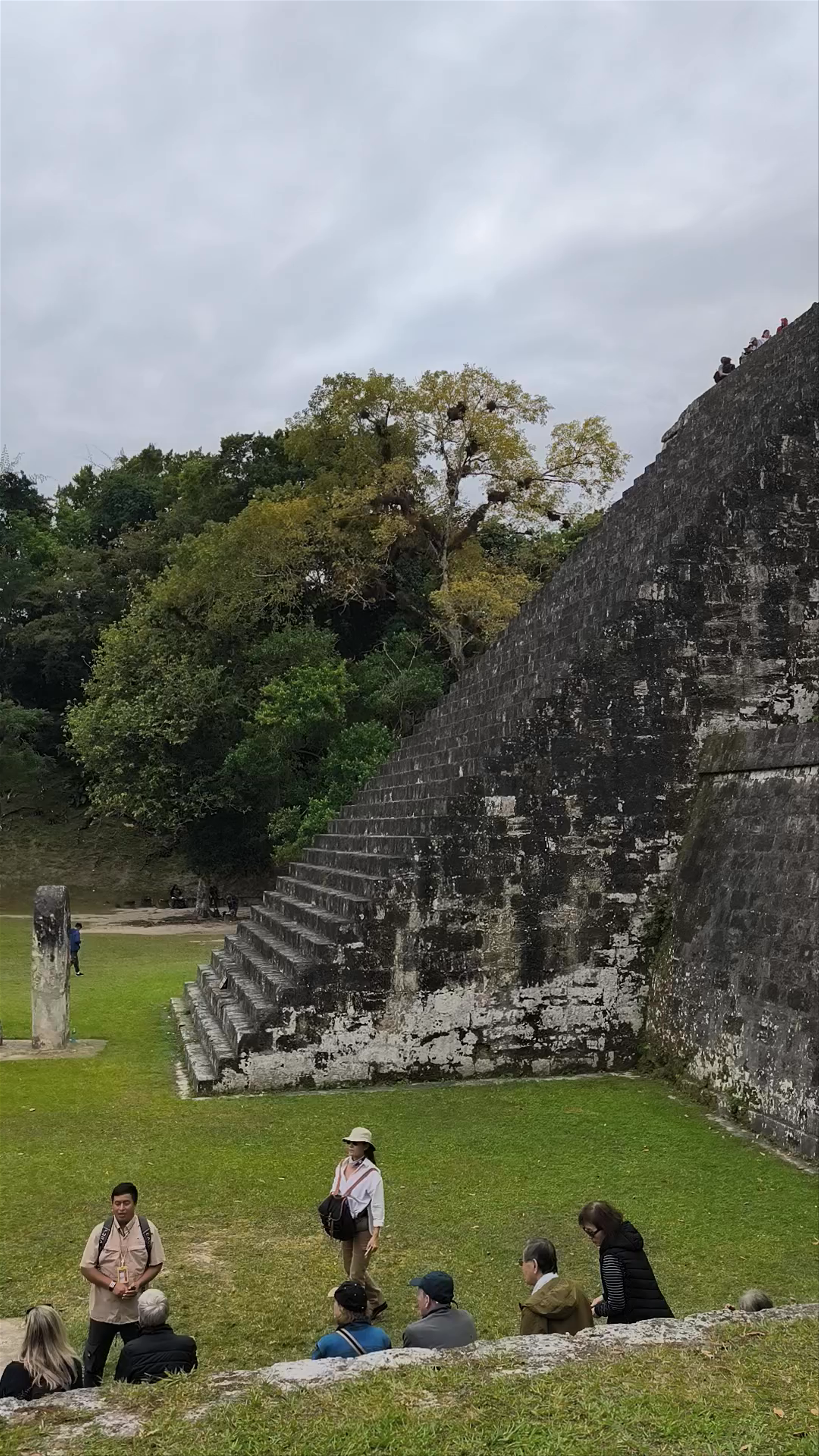 Tikal peten