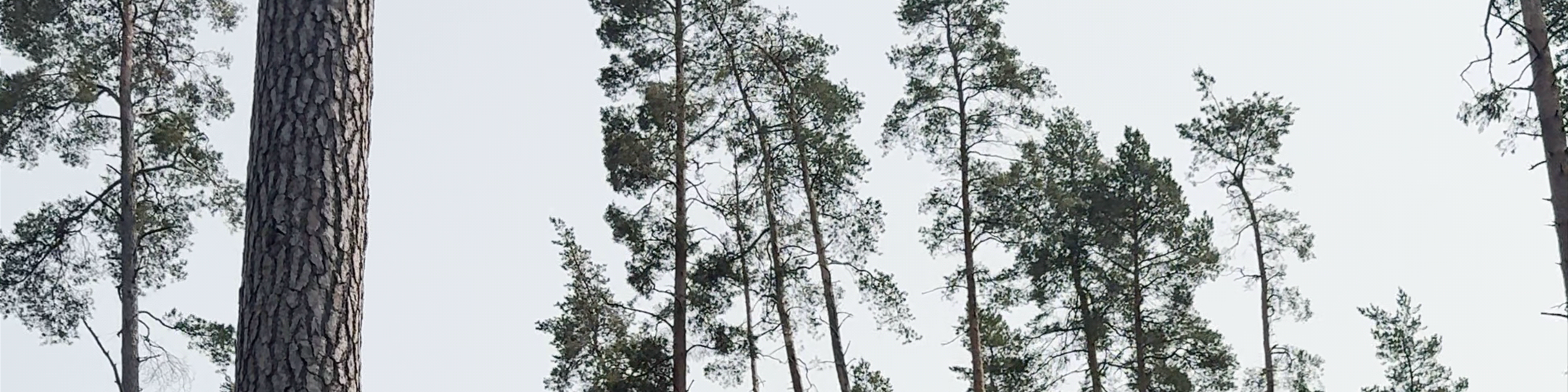 Tērvete Nature Park