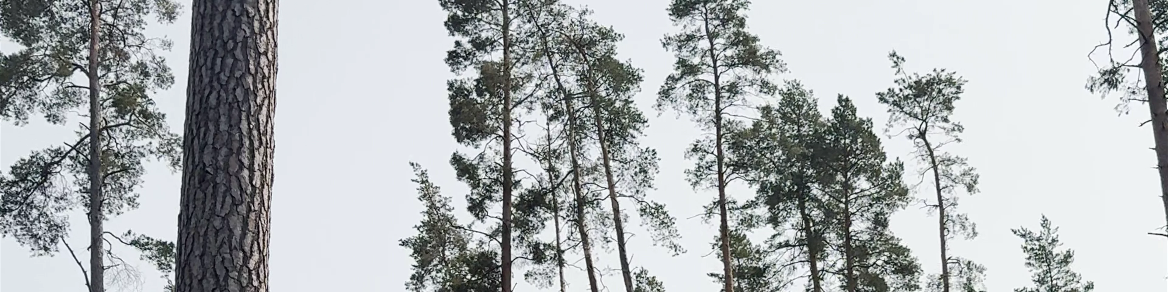 Tērvete Nature Park