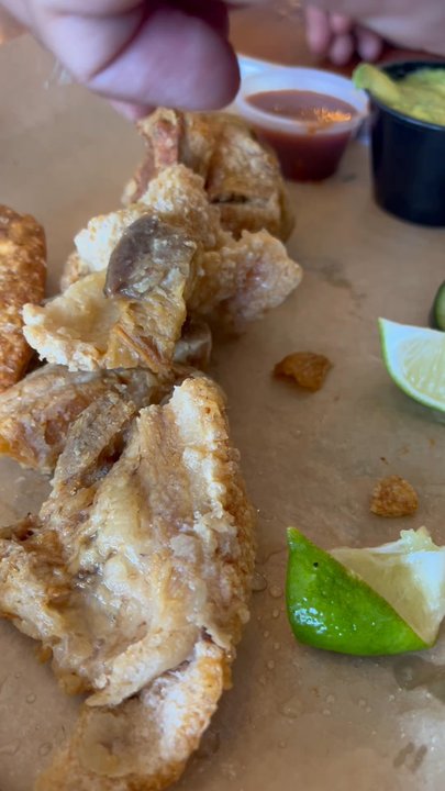 Shreddy's Tacos - Fresh hot chicharrón - Mexican Near Me - Boulder, Colorado