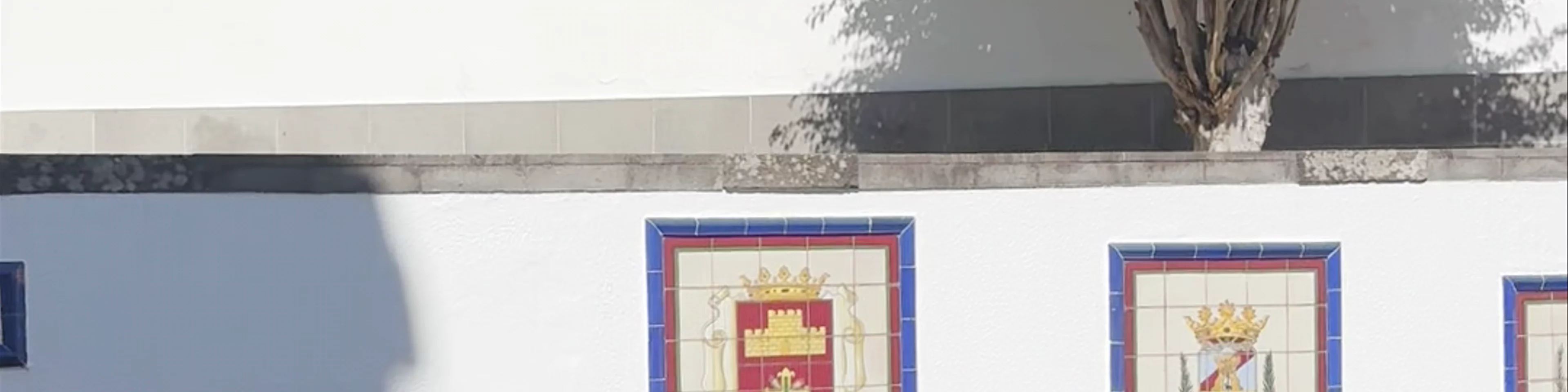 Firgas
