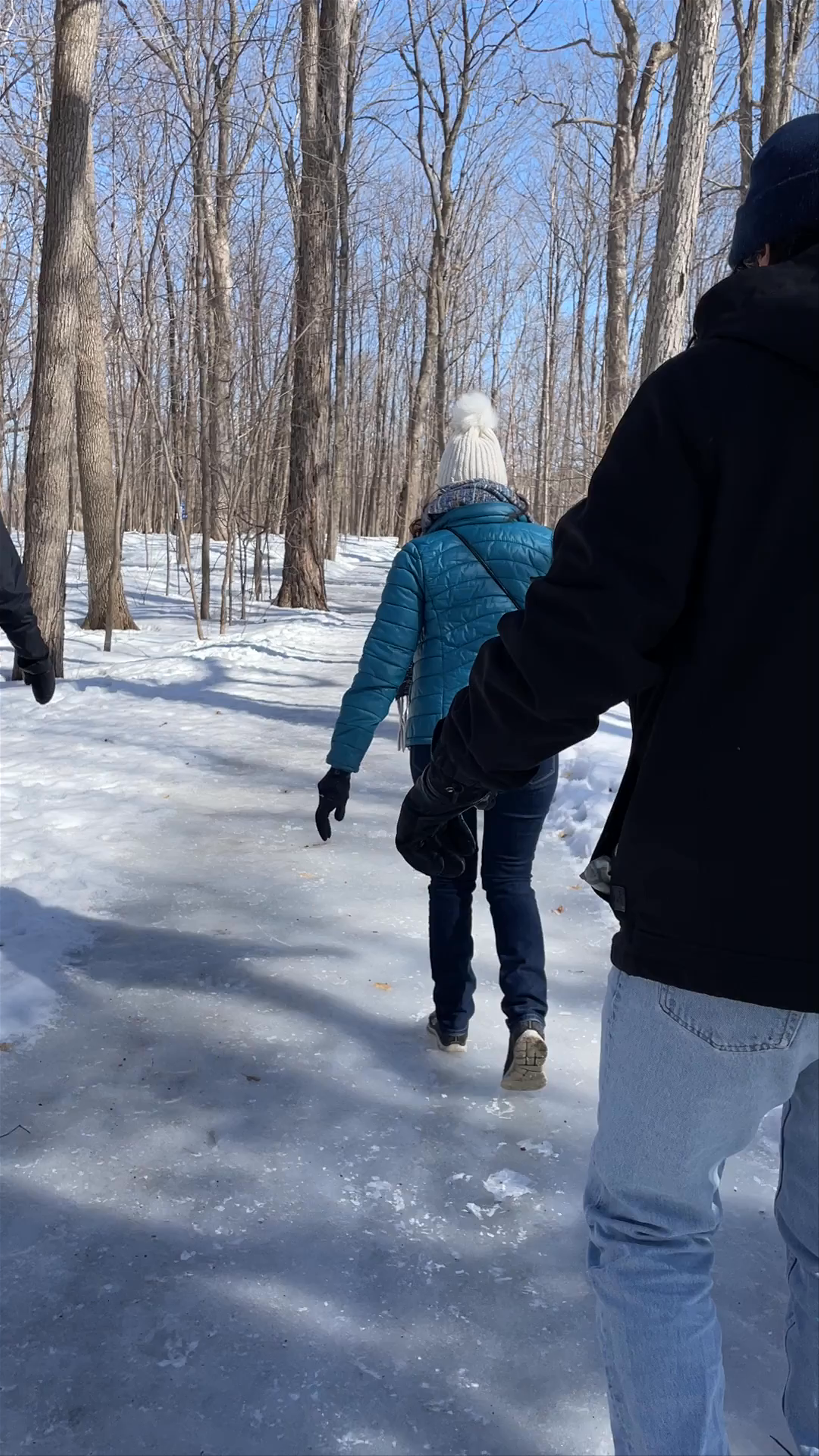 Winter Woodland Walk at Centennial Park in Dollard-des-Ormeaux