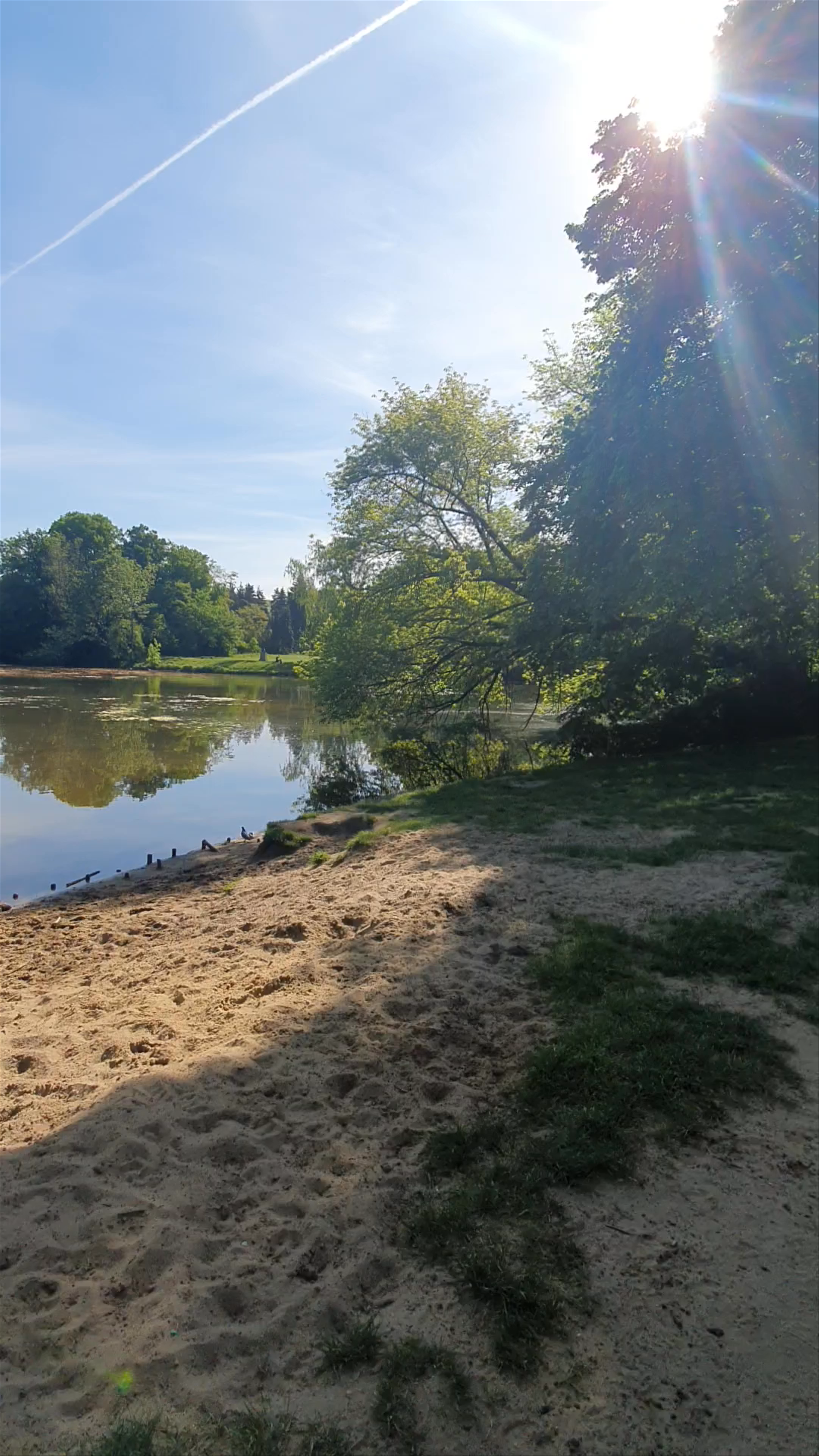 Spring Serenity at Park Skaryszewski, Warsaw