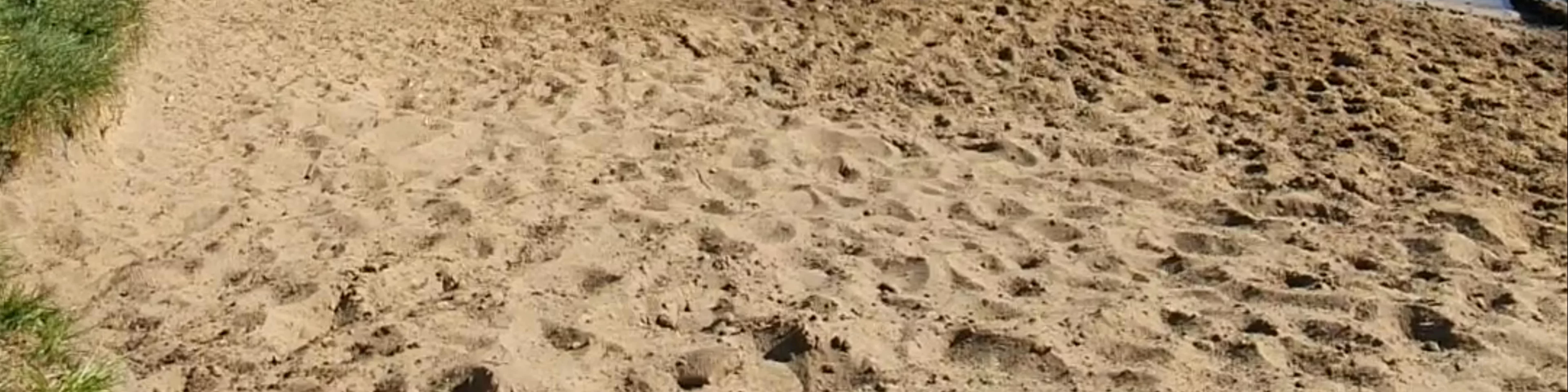 Park Skaryszewski im. Ignacego Jana Paderewskiego