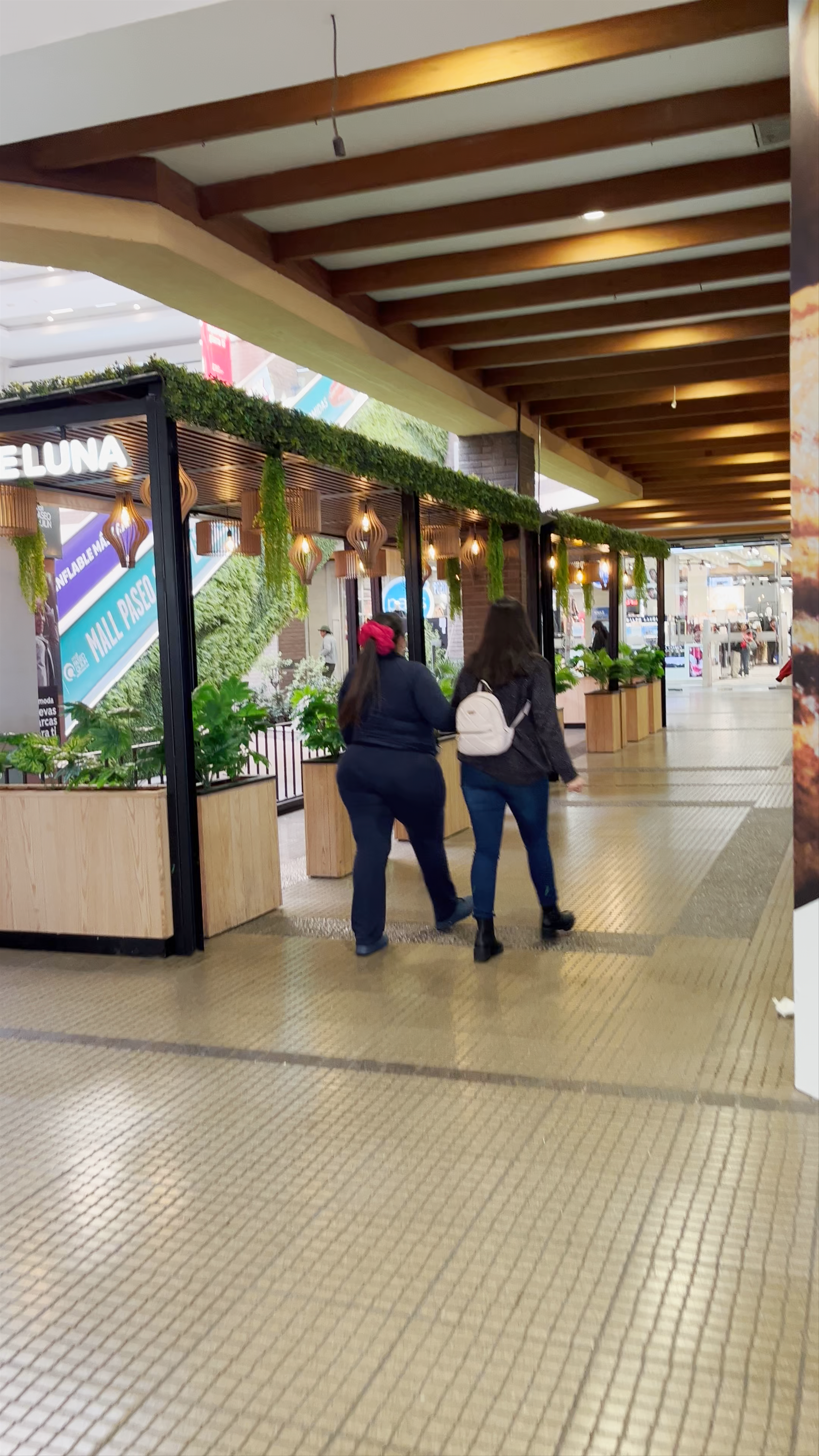 Mall Paseo Quilín - Avenida Quilín